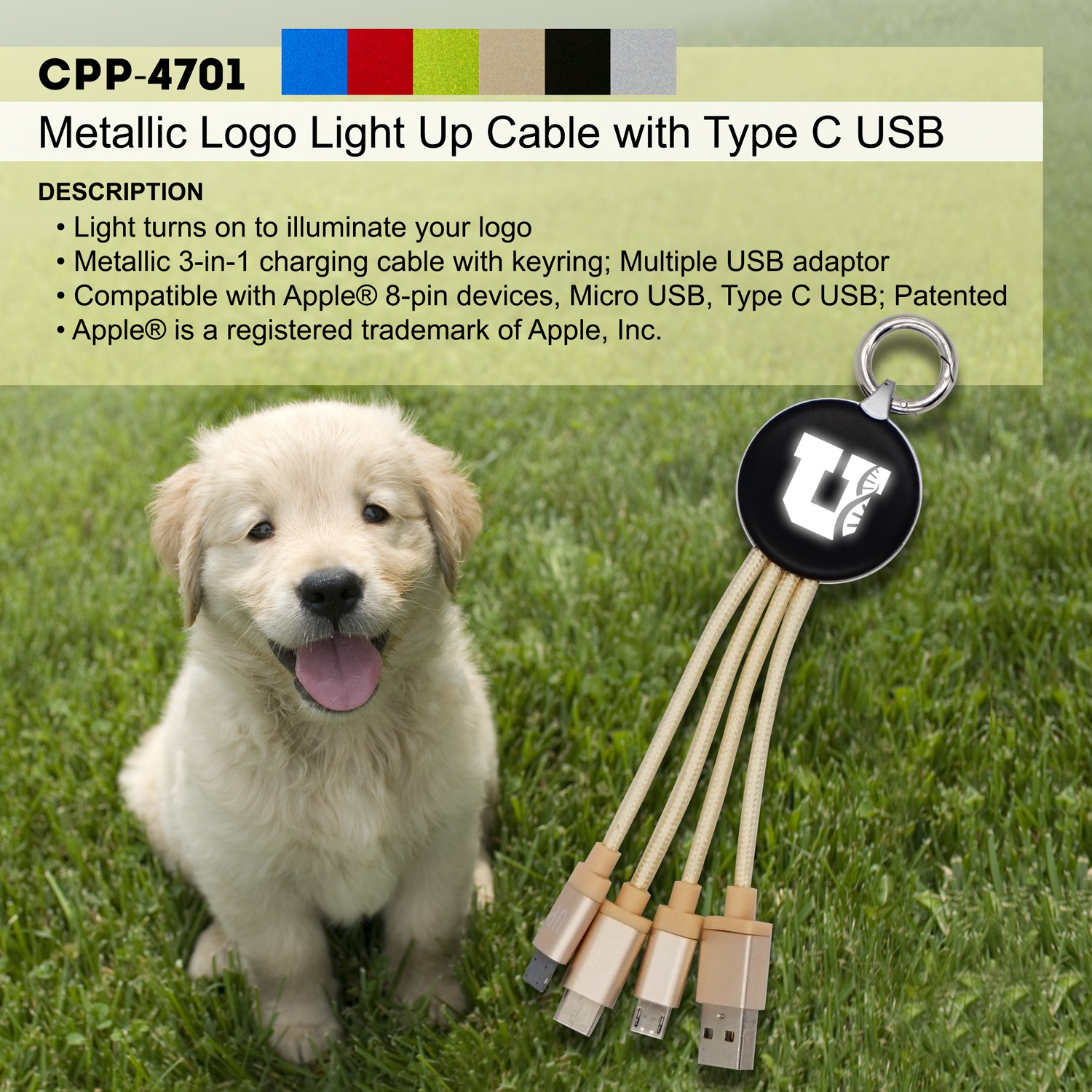 Metallic Logo Light Up Cable w/Type C USB 1