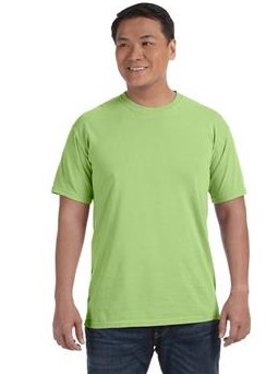 Comfort Colors® Adult 6.1 Oz. T-Shirt 1