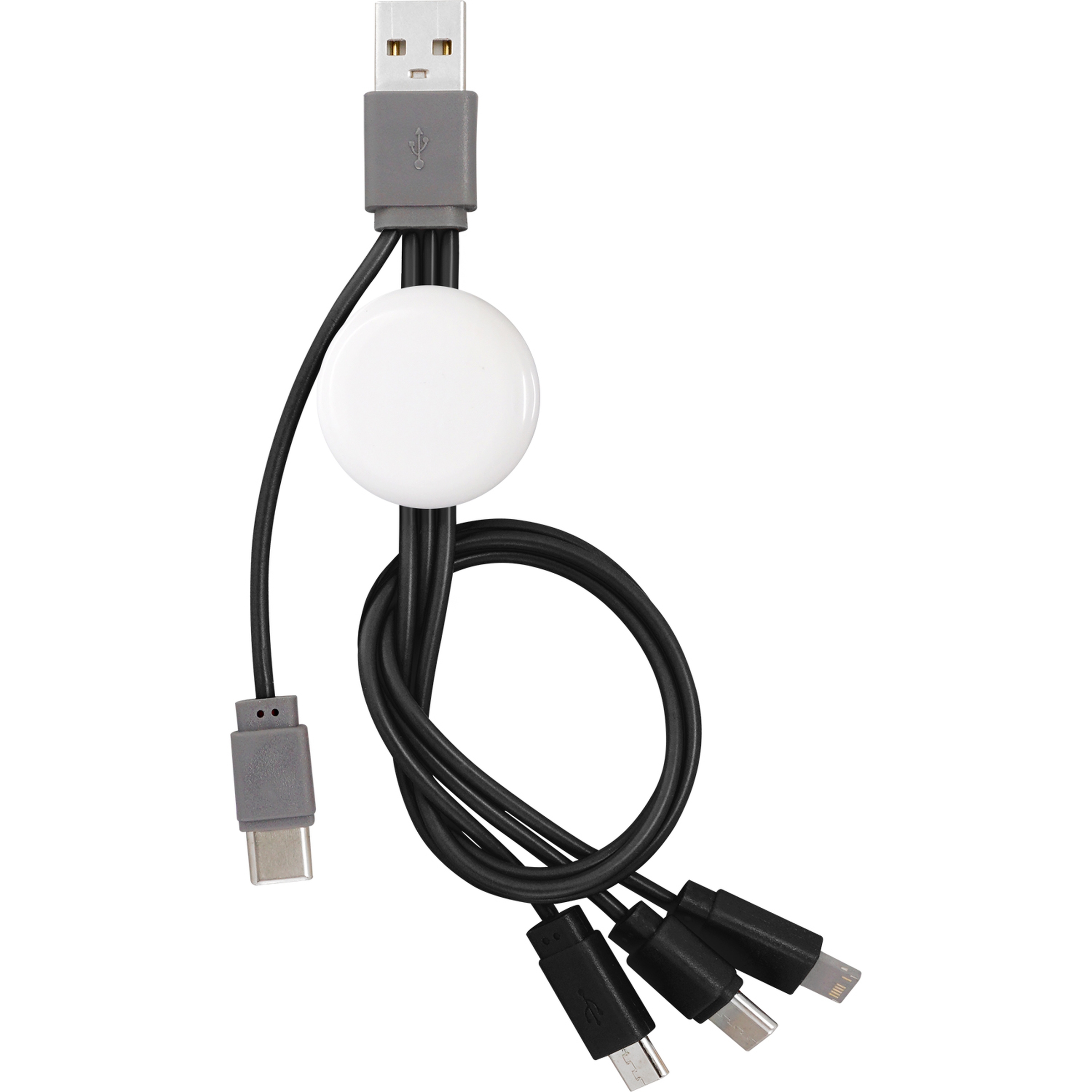 Snap Dual Input Type C Cable 1