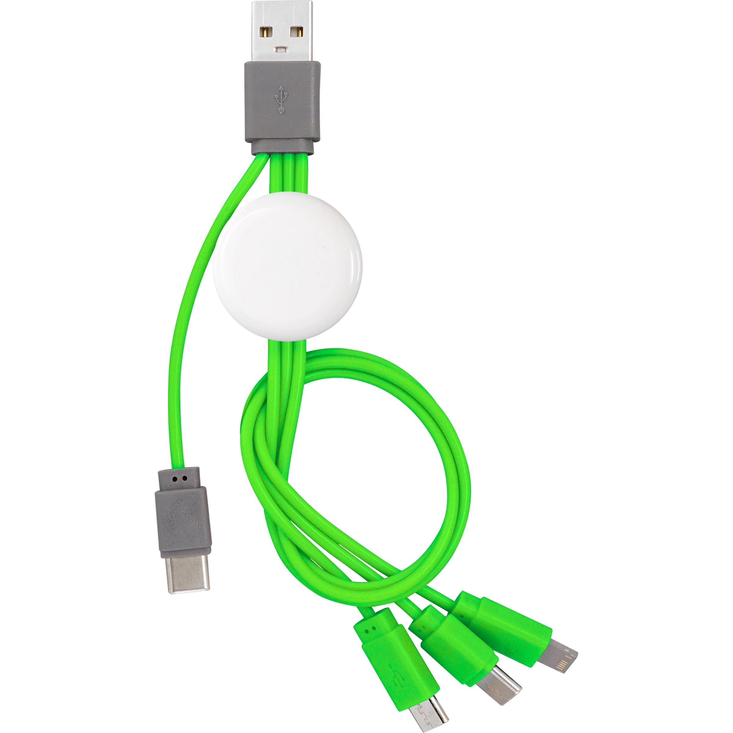 Snap Dual Input Type C Cable 1