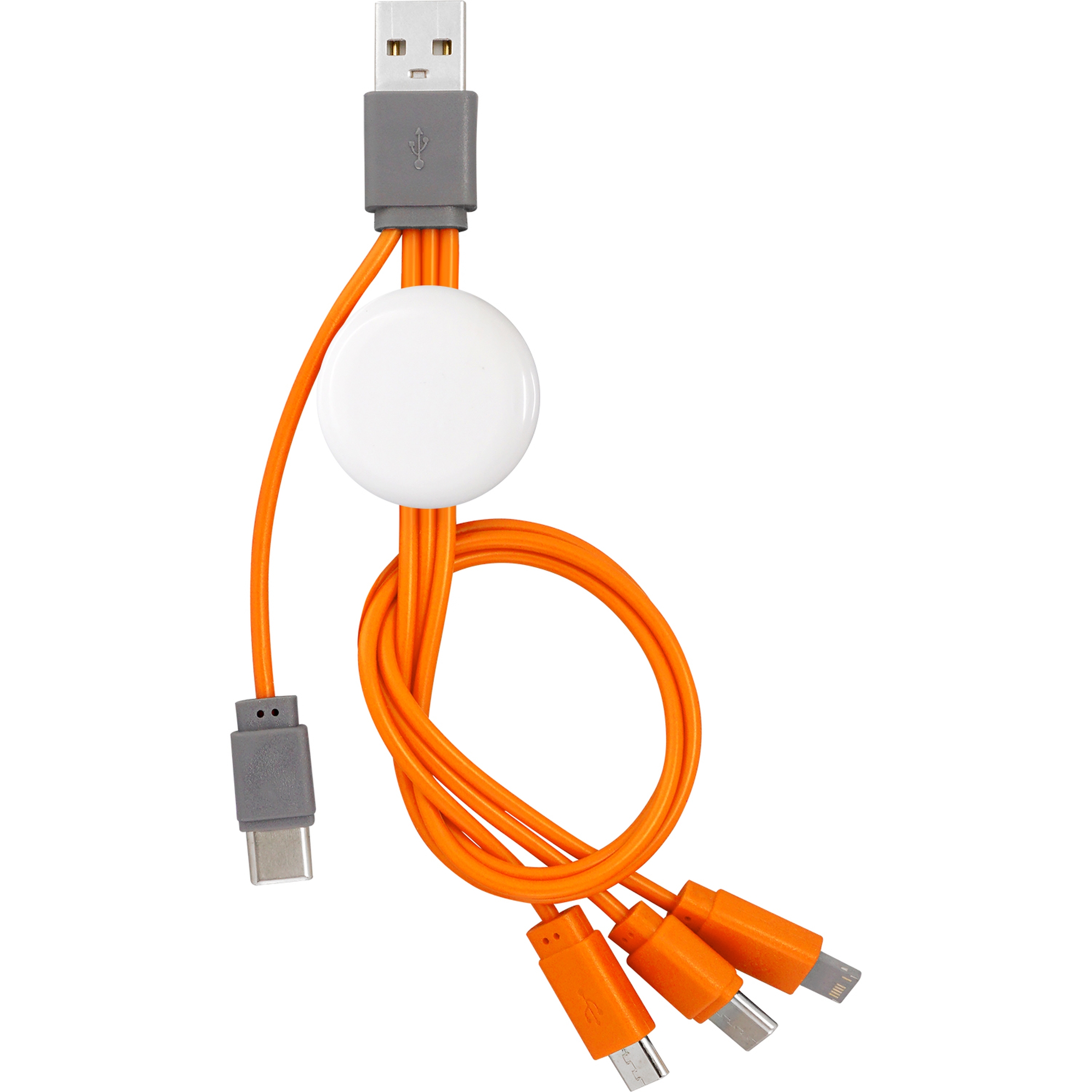 Snap Dual Input Type C Cable 1