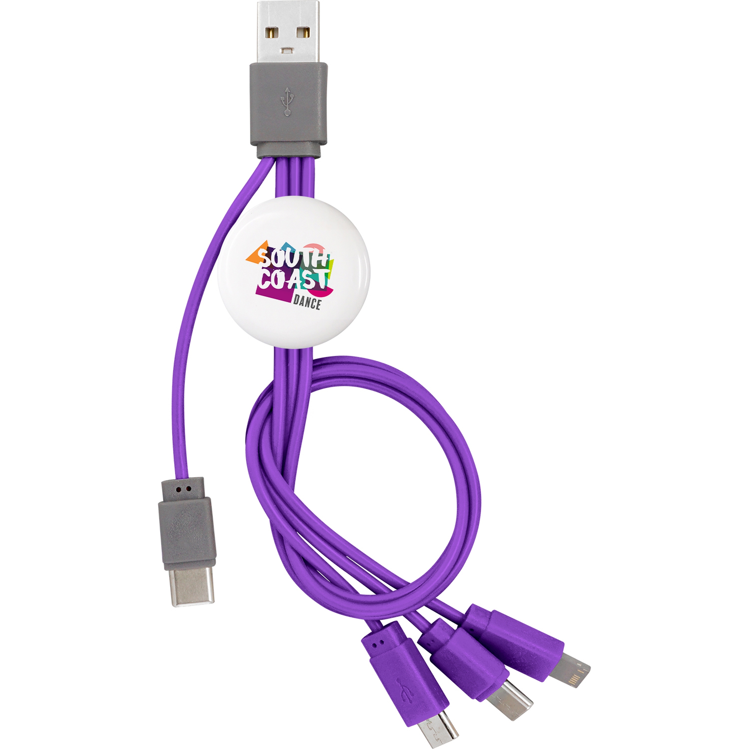 Snap Dual Input Type C Cable 1