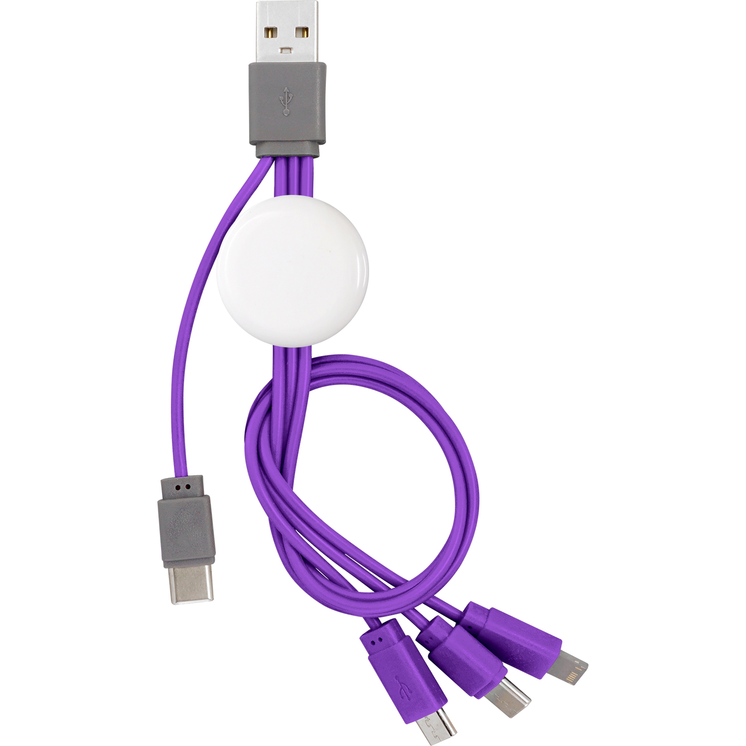 Snap Dual Input Type C Cable 1