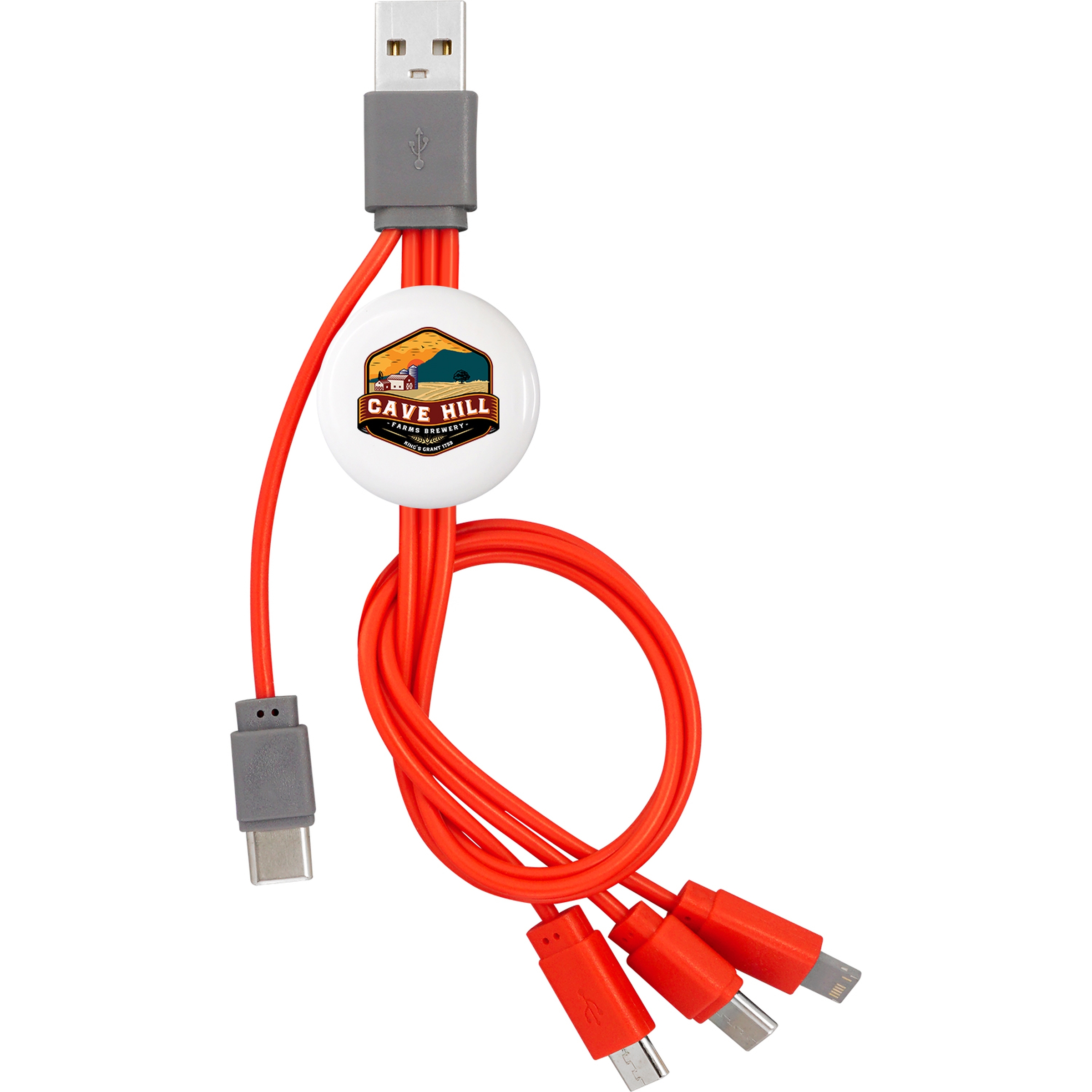 Snap Dual Input Type C Cable 1