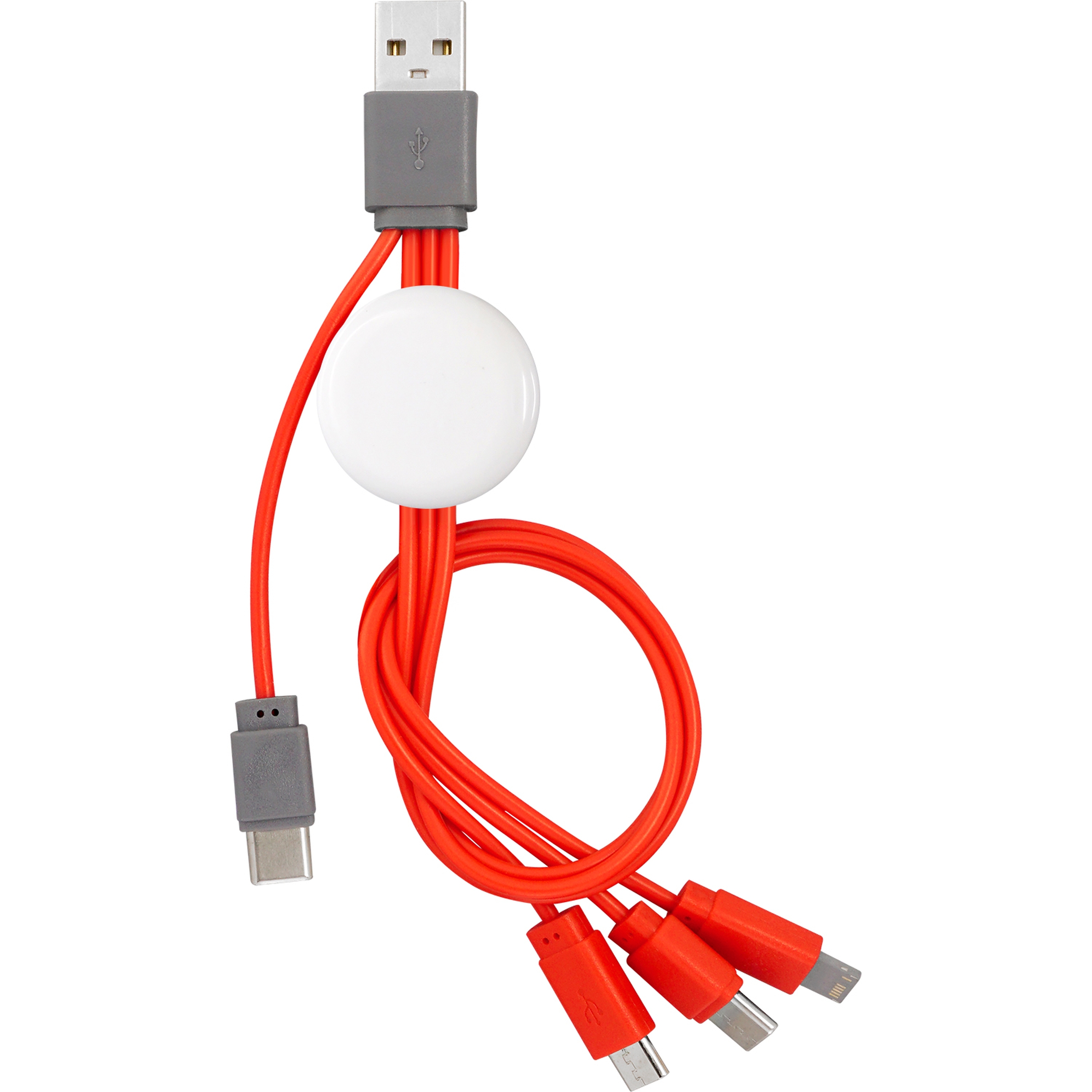 Snap Dual Input Type C Cable 1