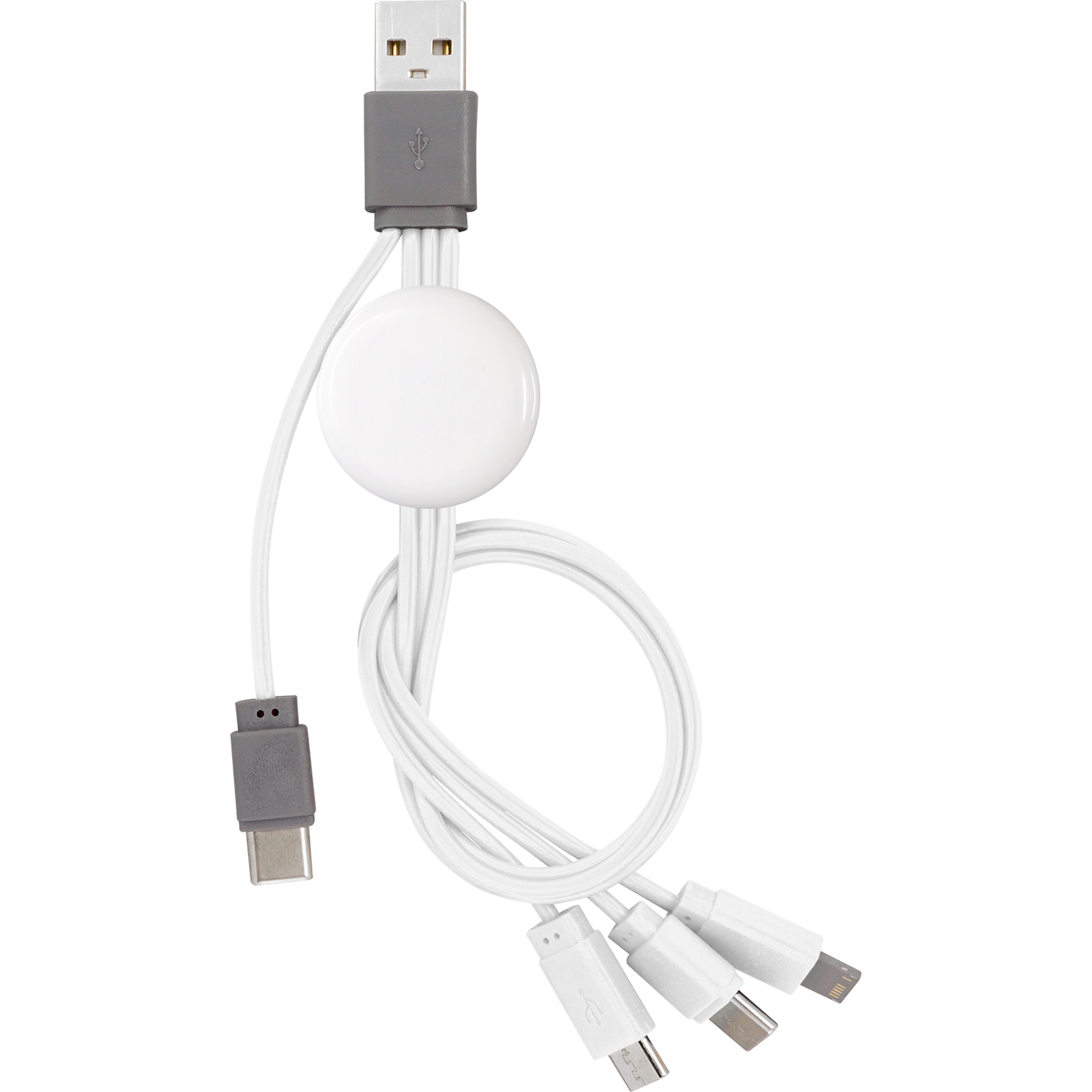 Snap Dual Input Type C Cable 1