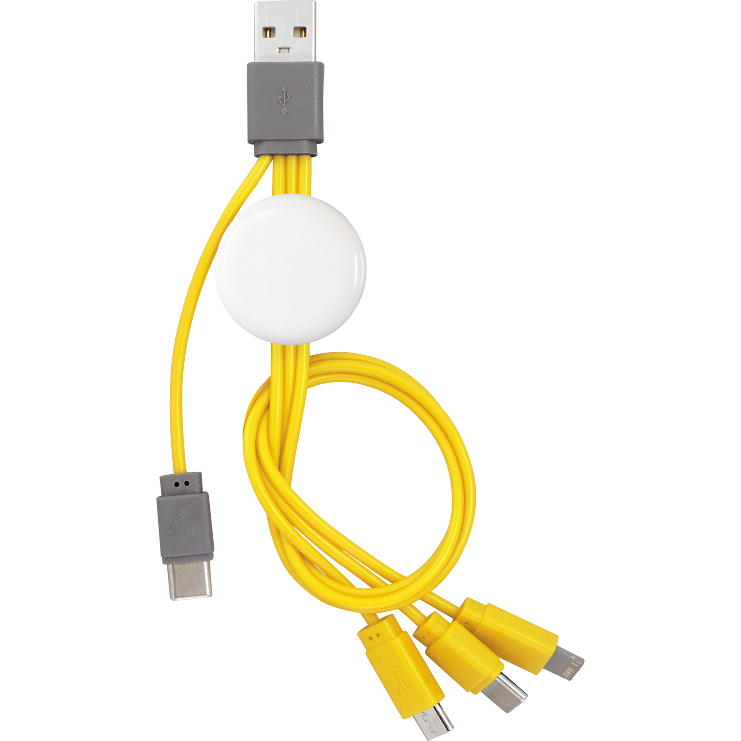 Snap Dual Input Type C Cable 1