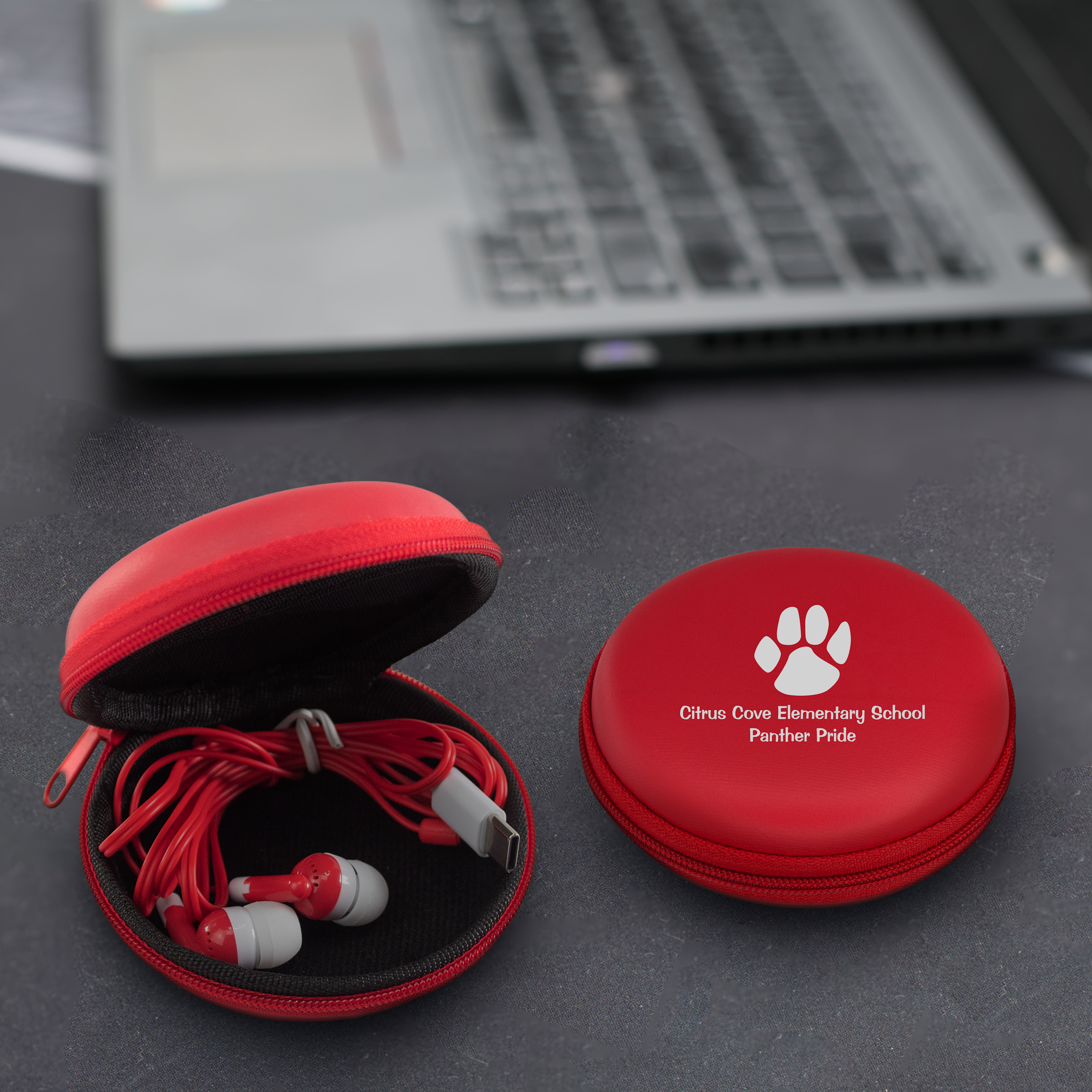 Type C Ear Buds To Go 1