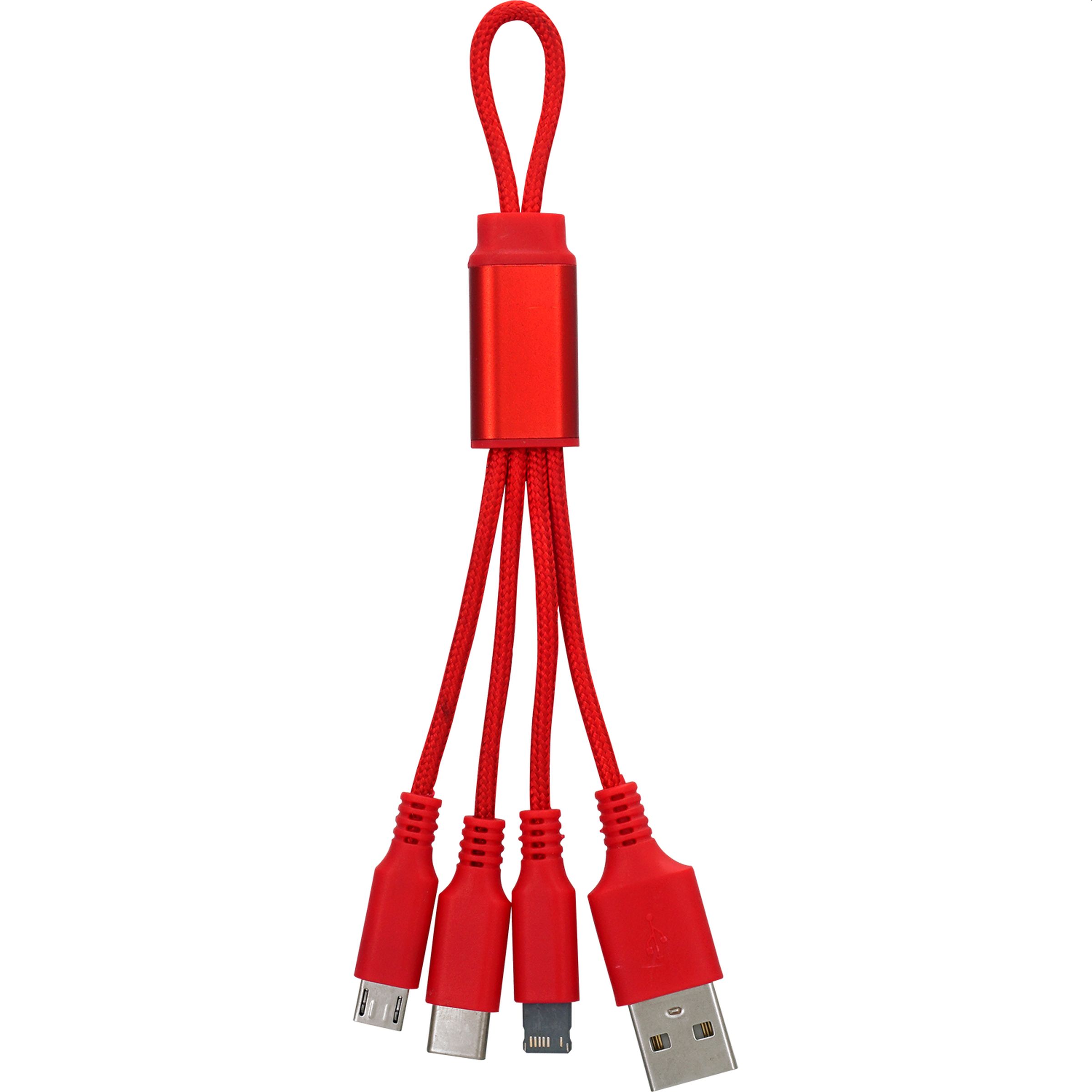 Metallic Loop 3-in-1 Cable with Type C USB 1