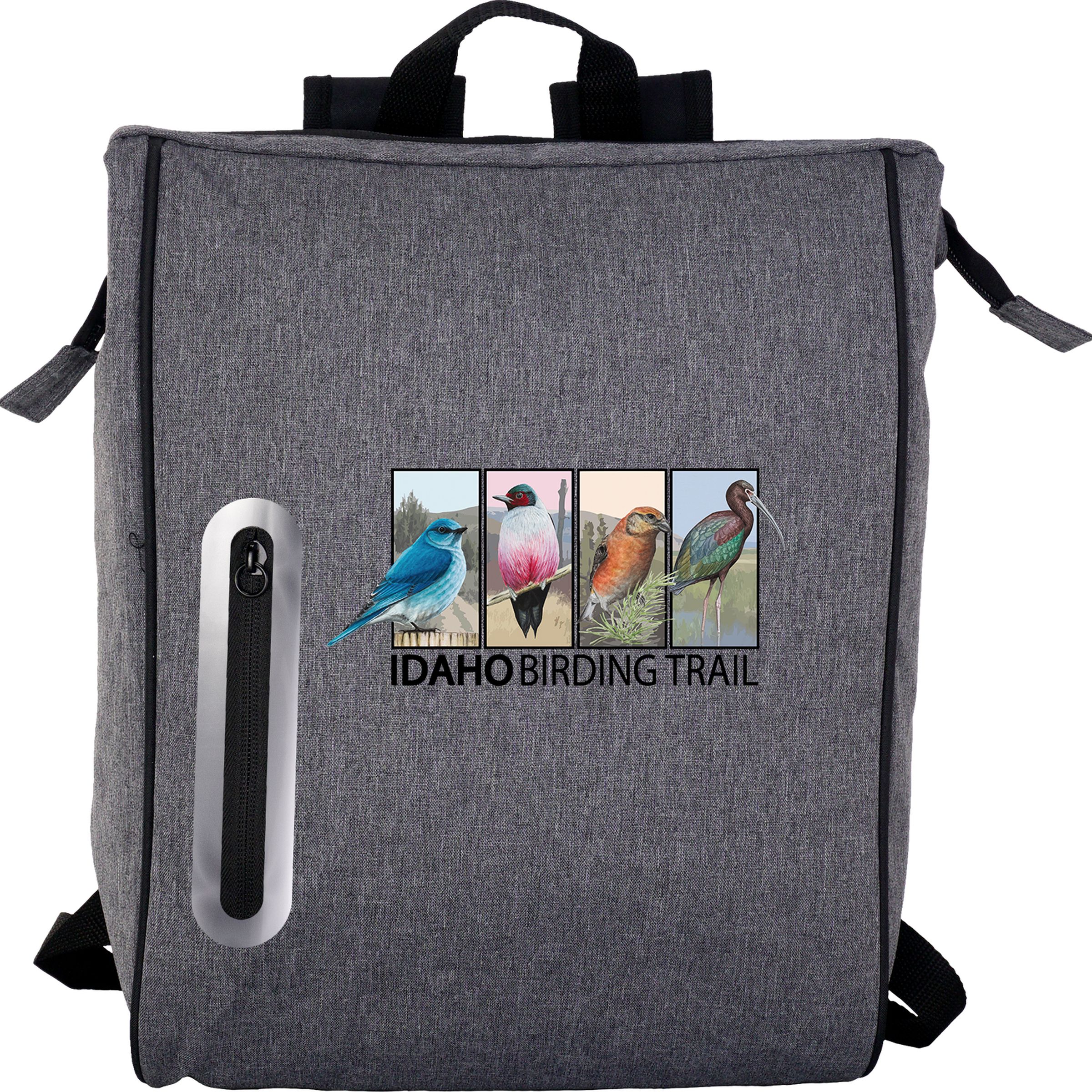 Oval Line Cooler Backpack 1