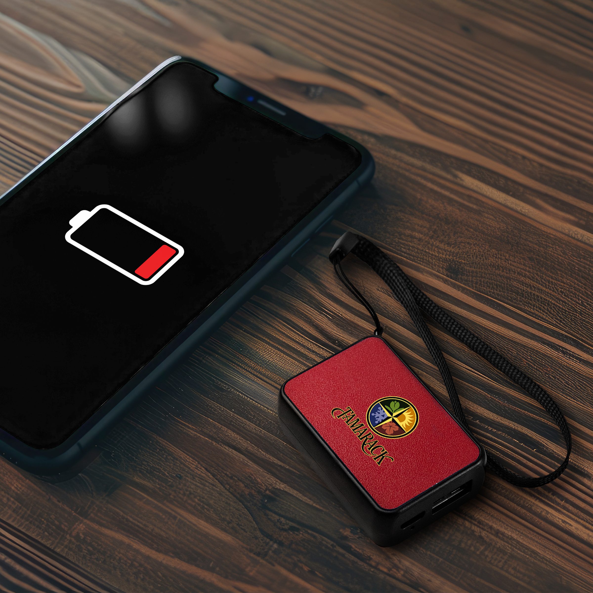 UL 1000mAh NanoCharge Colorful Power Bank 1