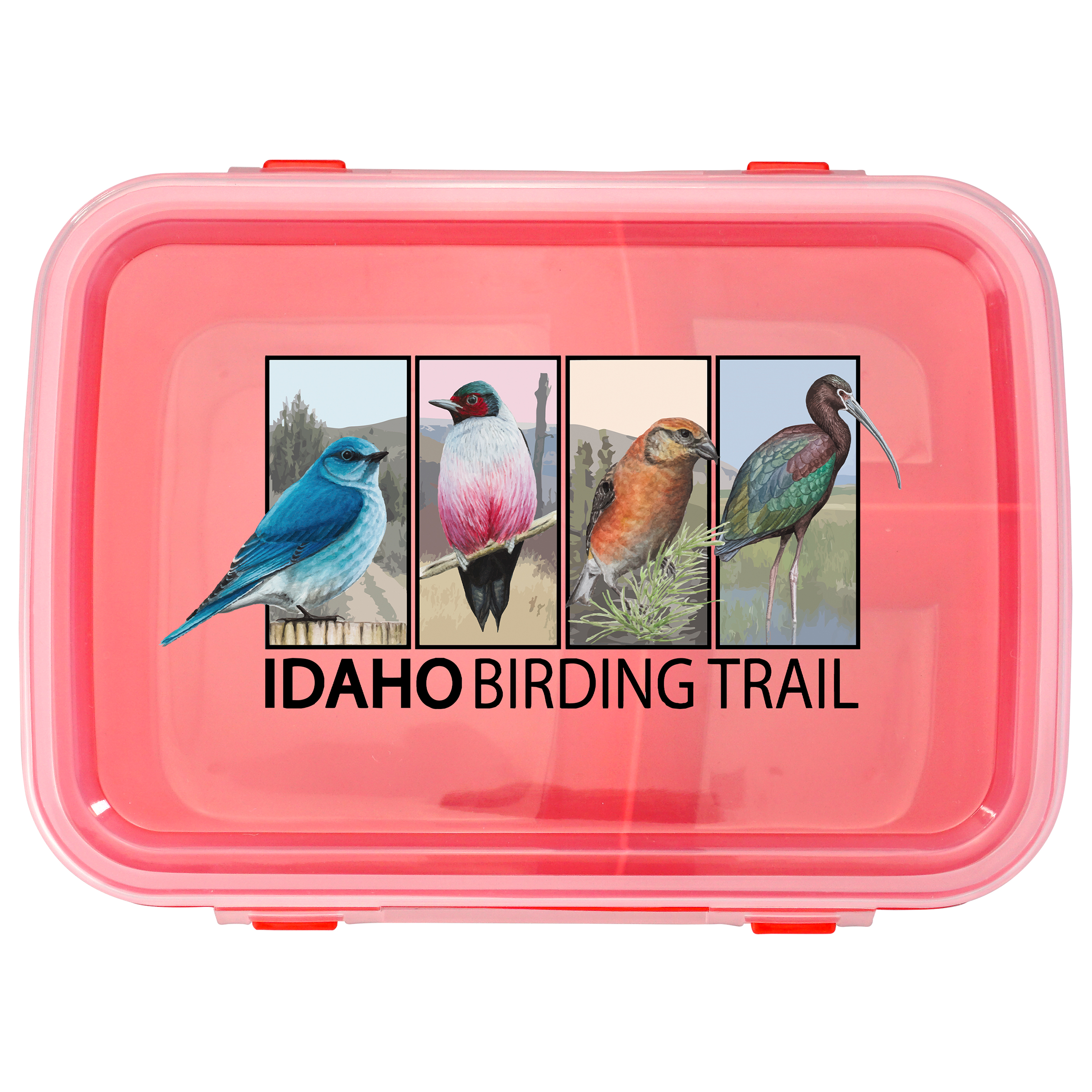 Full Color Lunch To Go Container 1