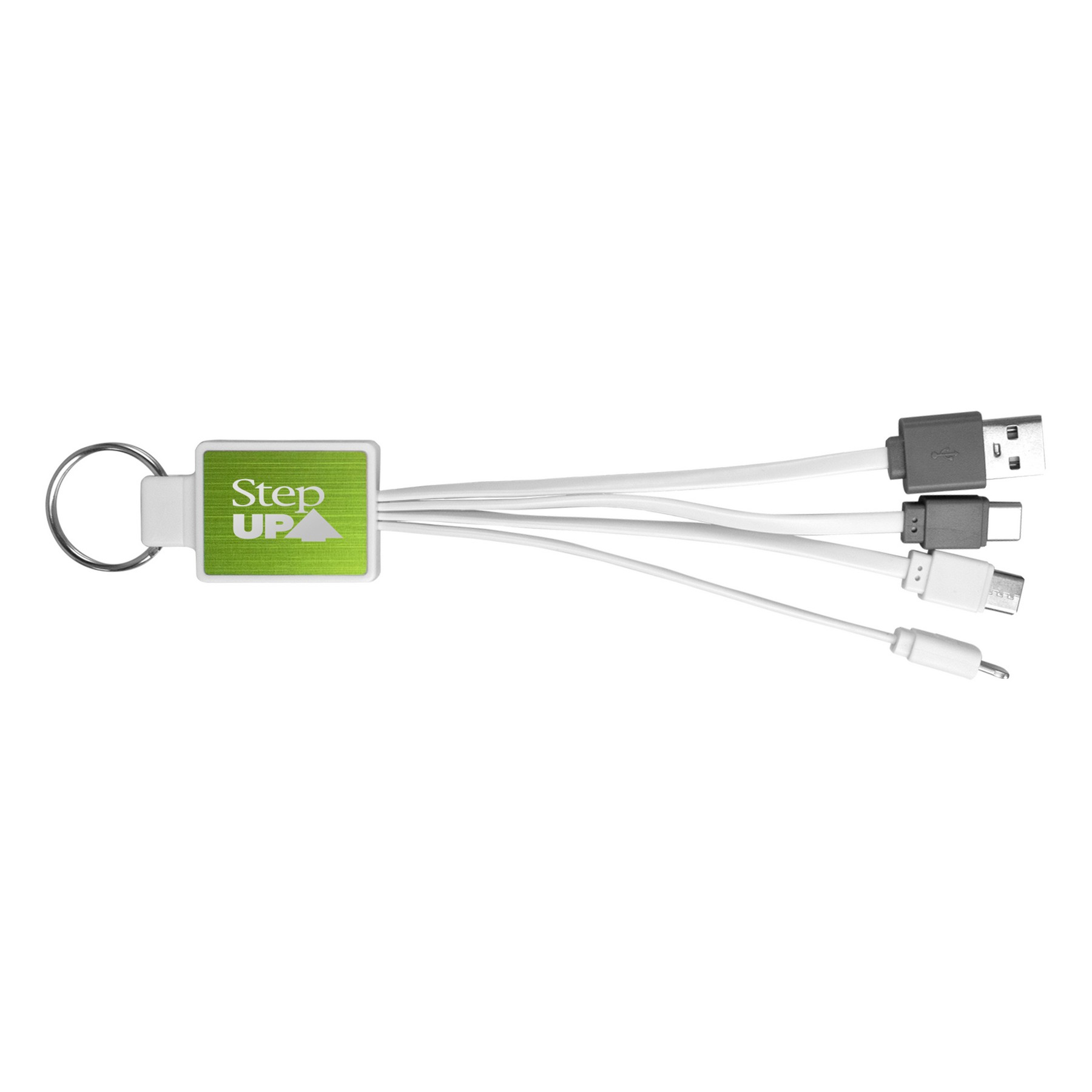 Metal Accent Dual Input Cable 1