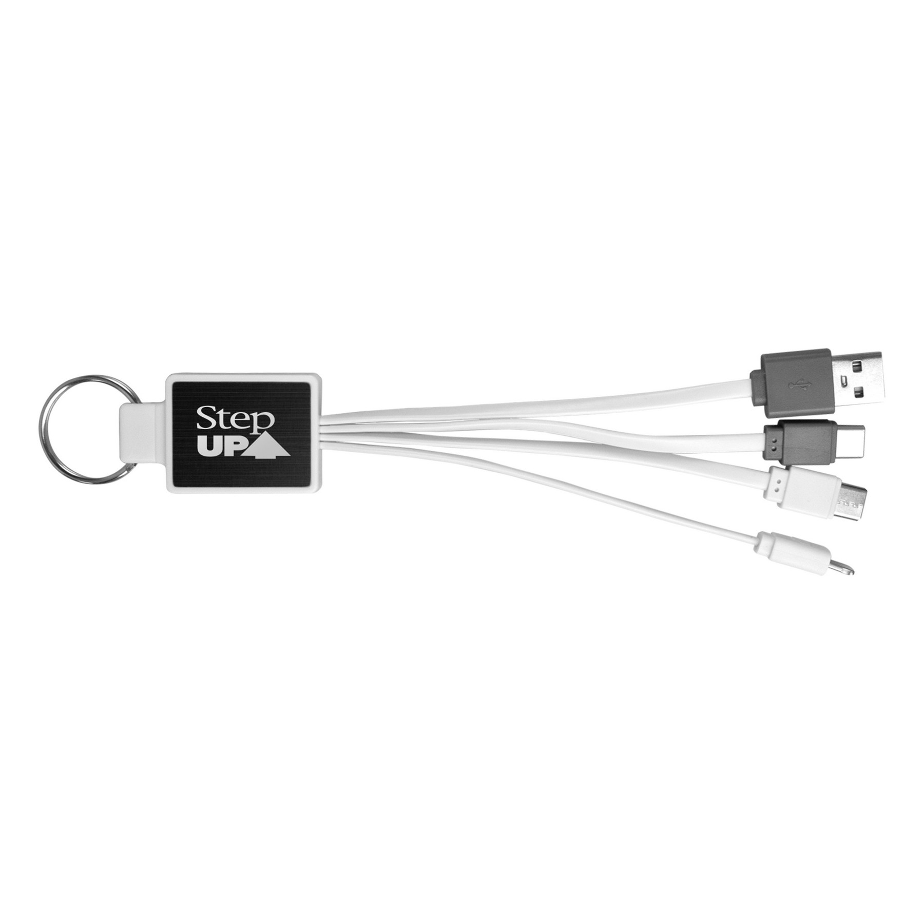 Metal Accent Dual Input Cable 1