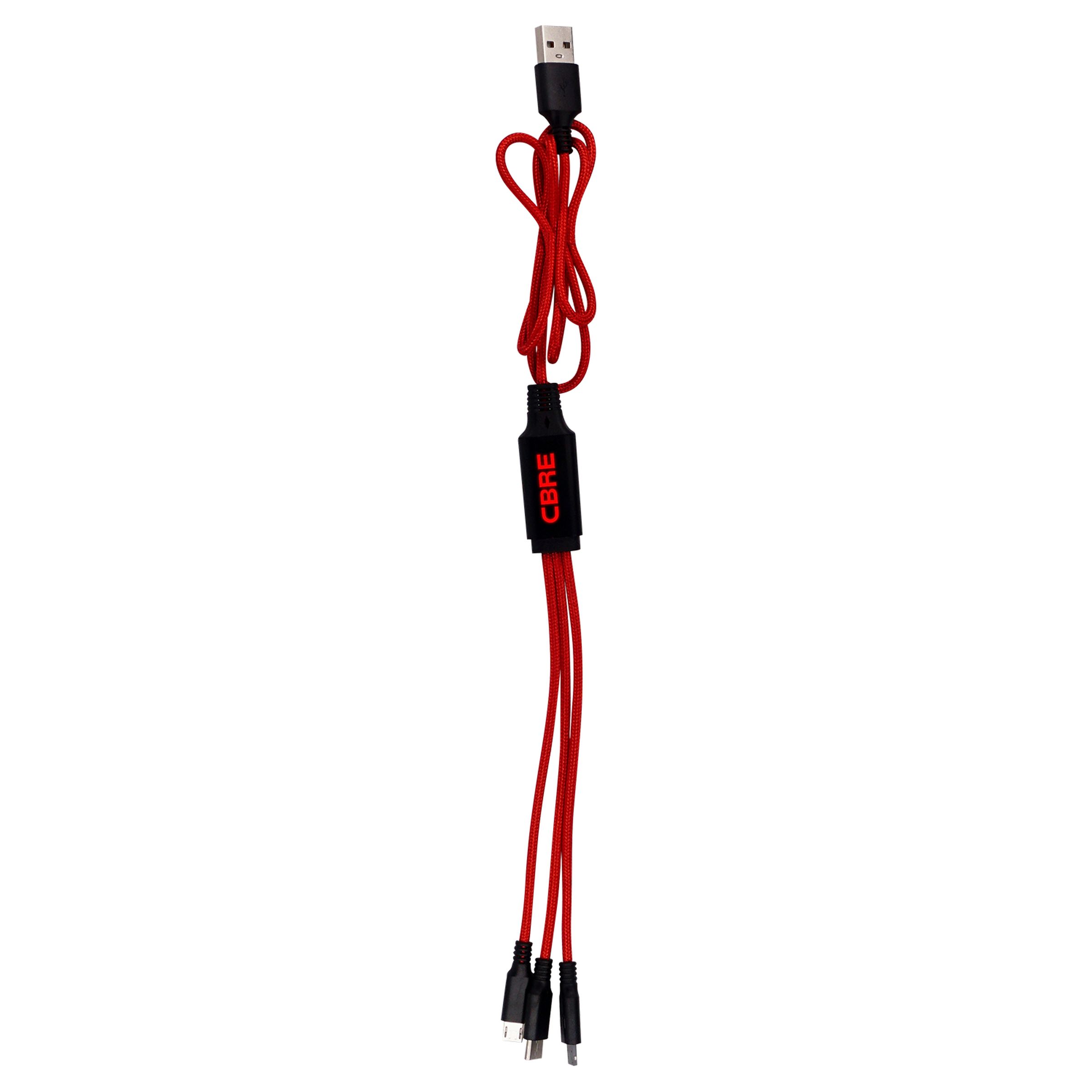 3' Metallic Logo Light Up Cable with Type C USB 1