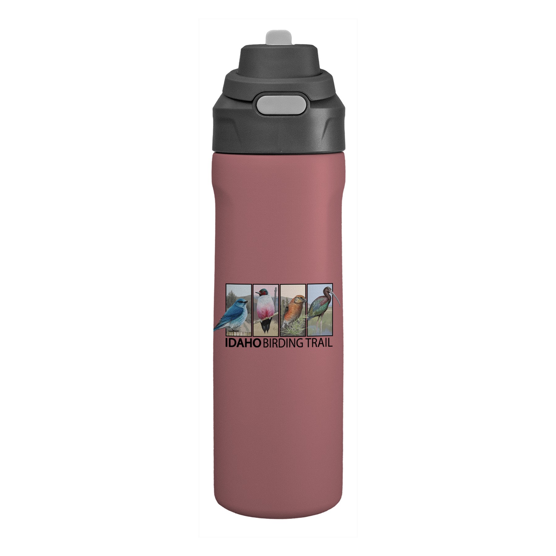 Pop Up 24 Oz. Recycled Colorful Bottle 1