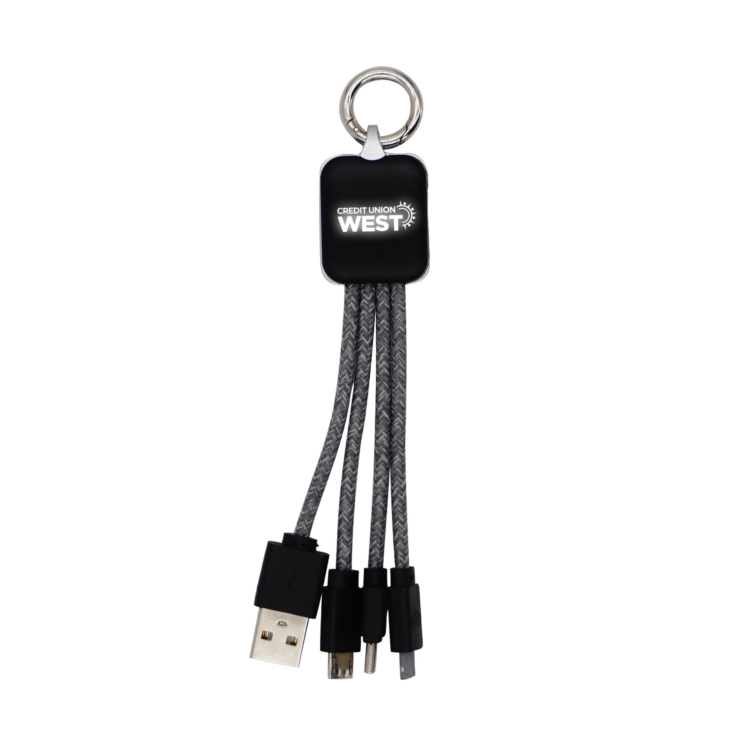 Ridge Logo Light Up Cable w/Type C USB 1