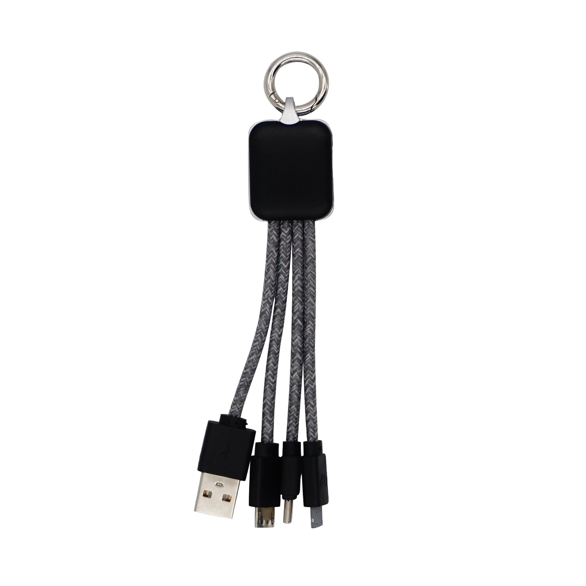 Ridge Logo Light Up Cable w/Type C USB 1