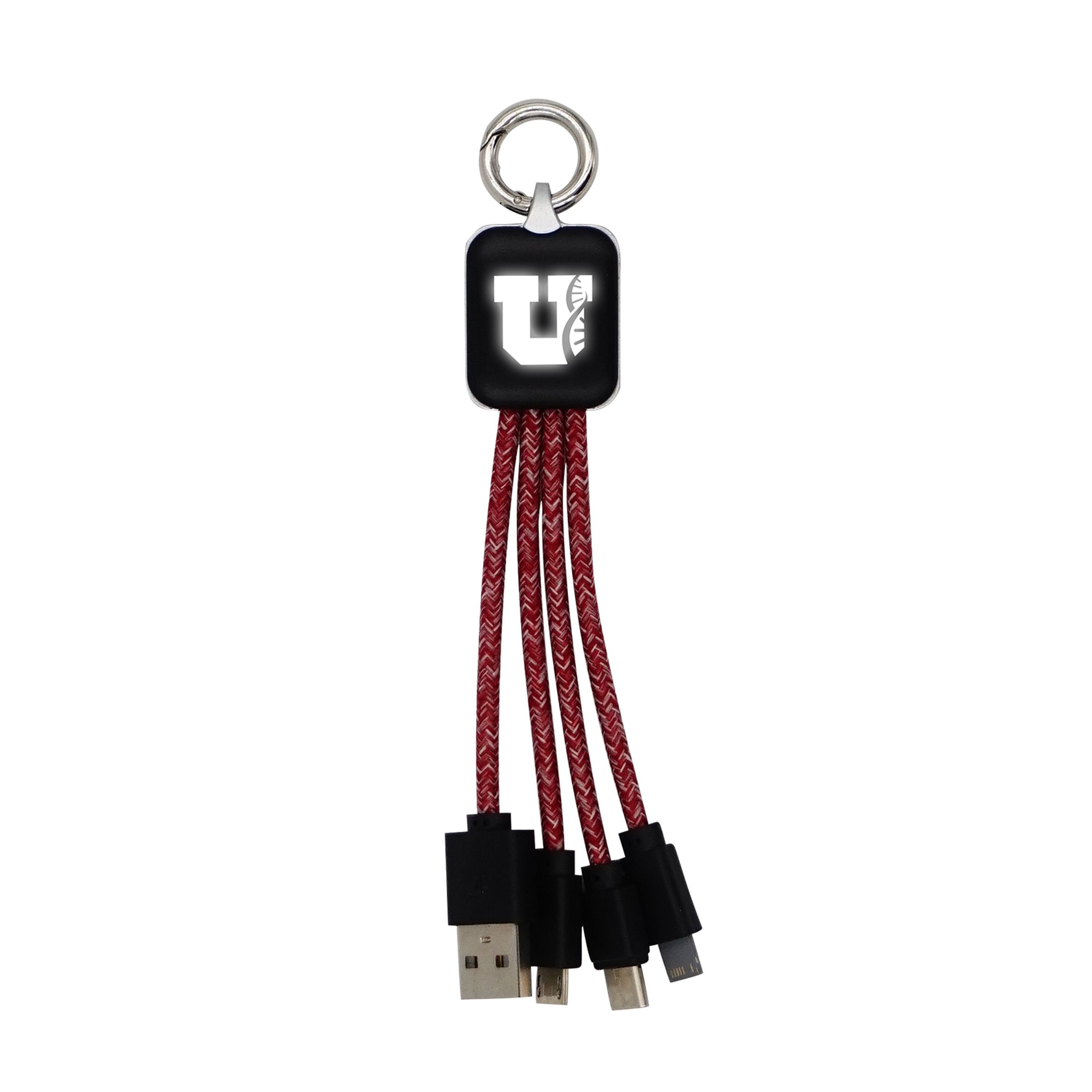 Ridge Logo Light Up Cable w/Type C USB 1