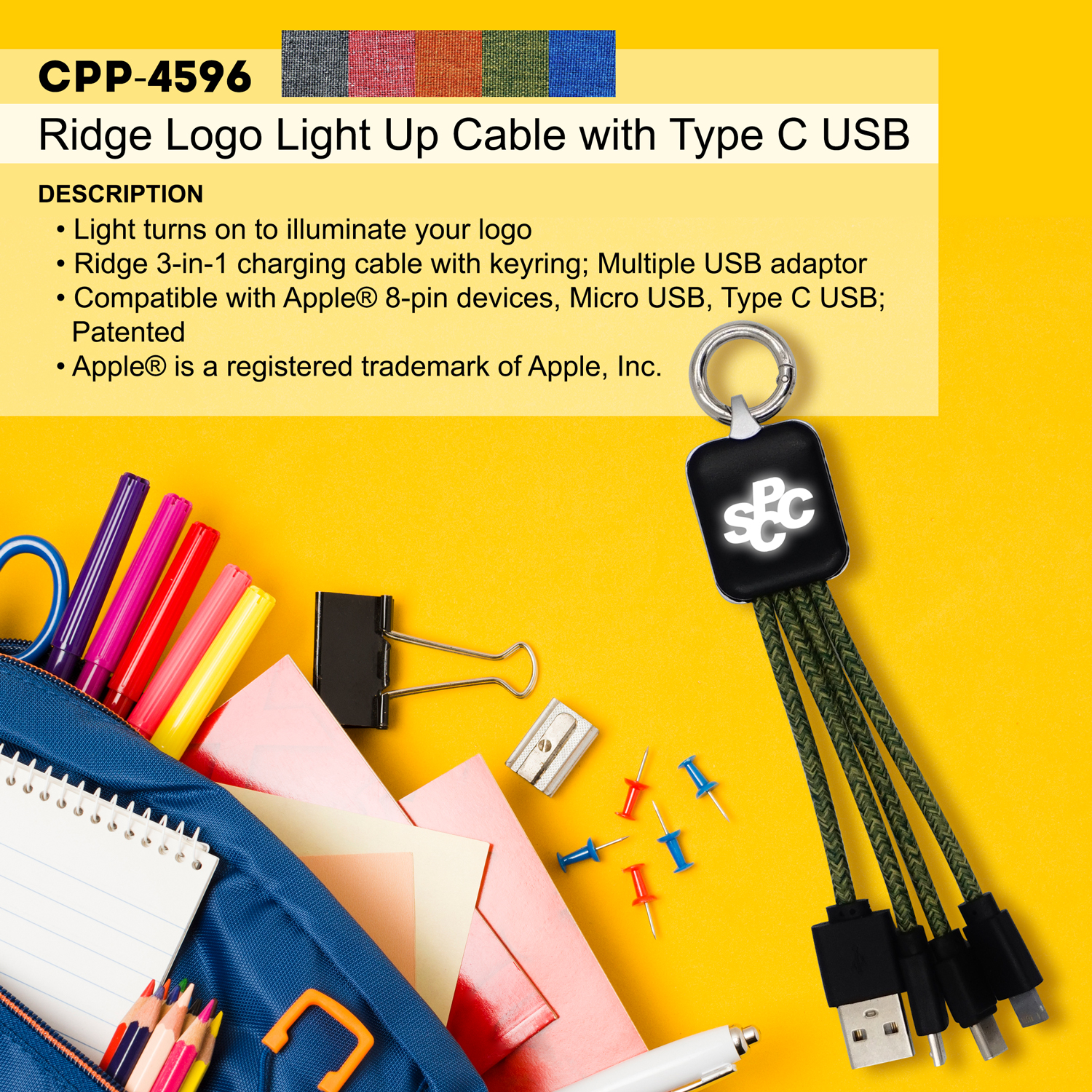 Ridge Logo Light Up Cable w/Type C USB 1