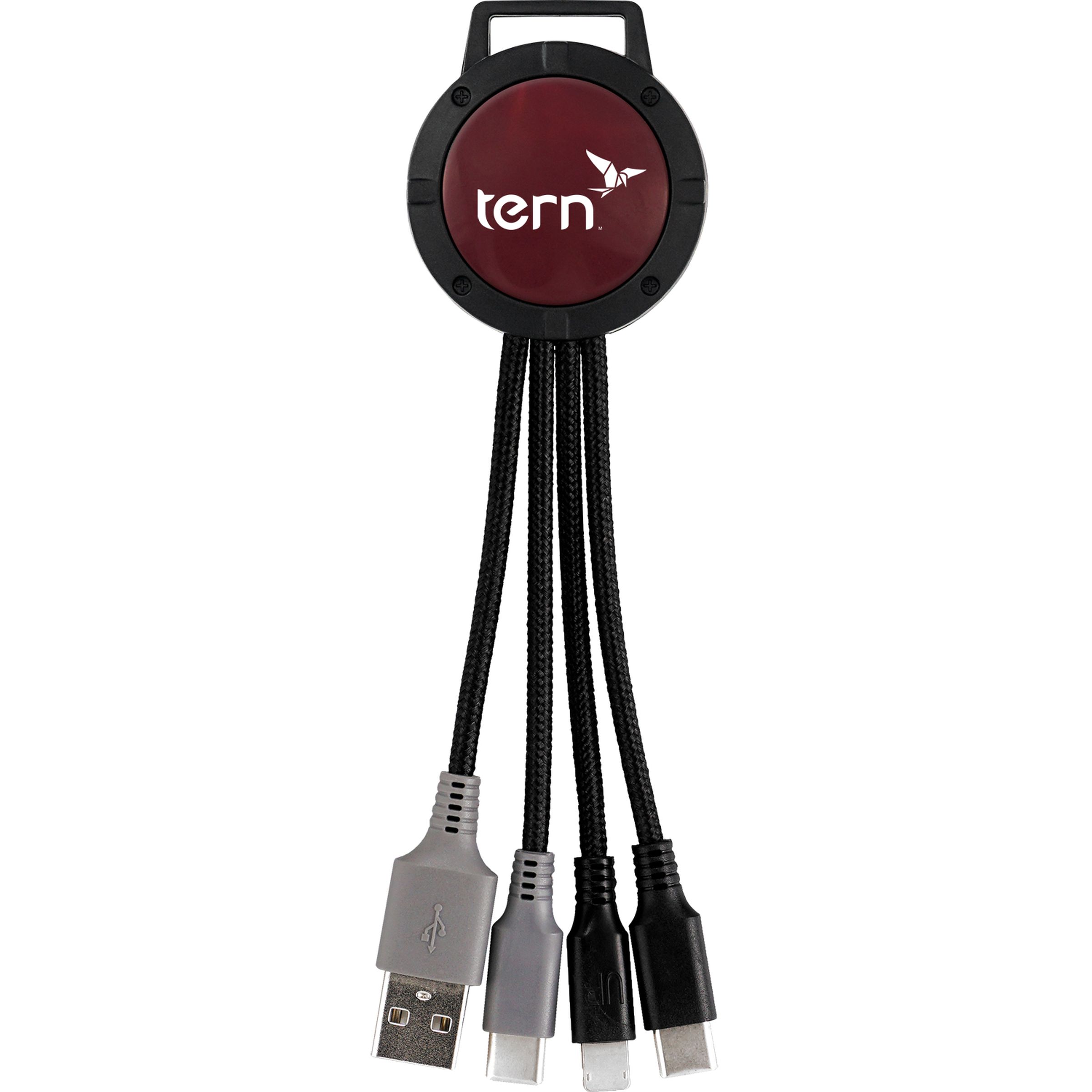 Two Tone Dual Input 3-in-1 Charging Cable 1