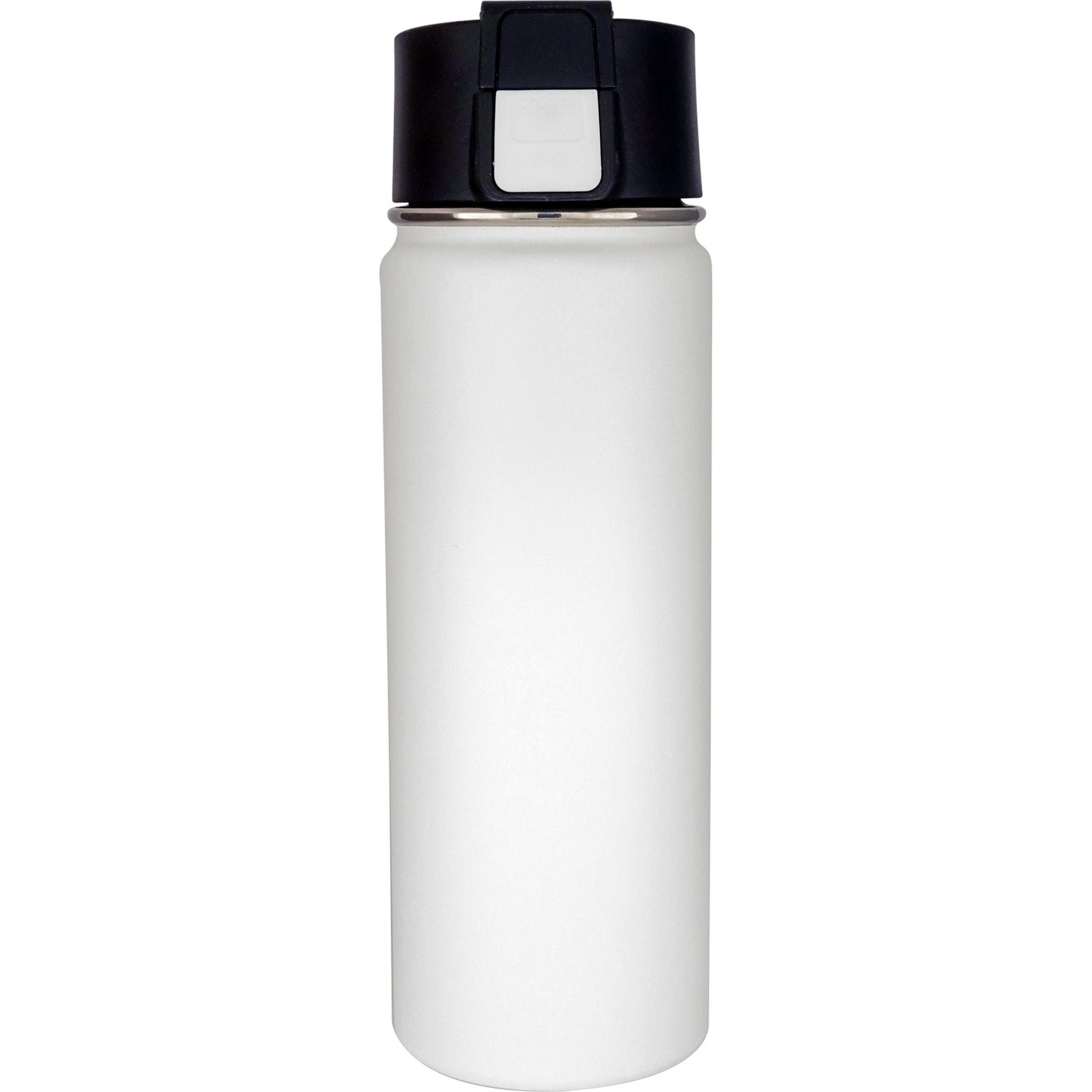 Iceberg Vacuum Bottle 1