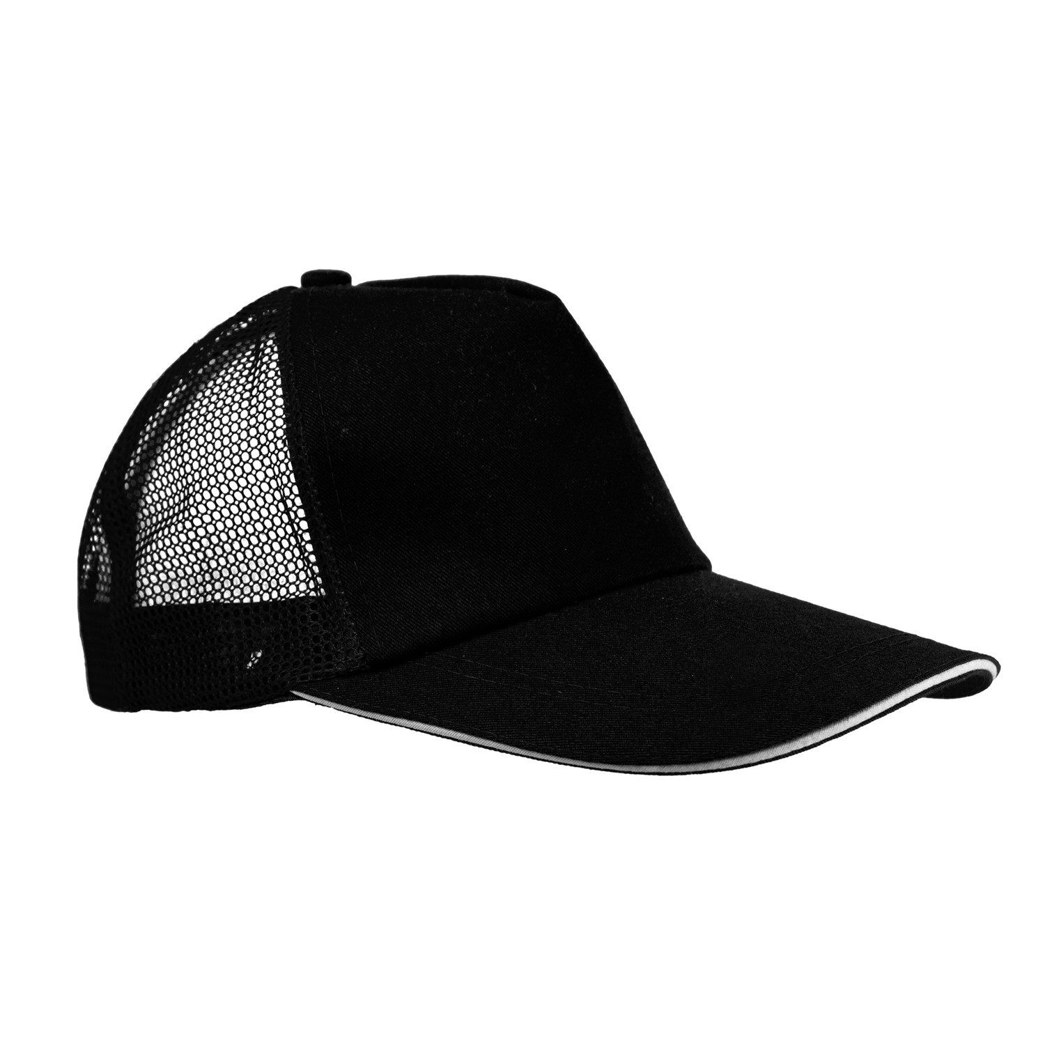 Accent Baseball Hat 1