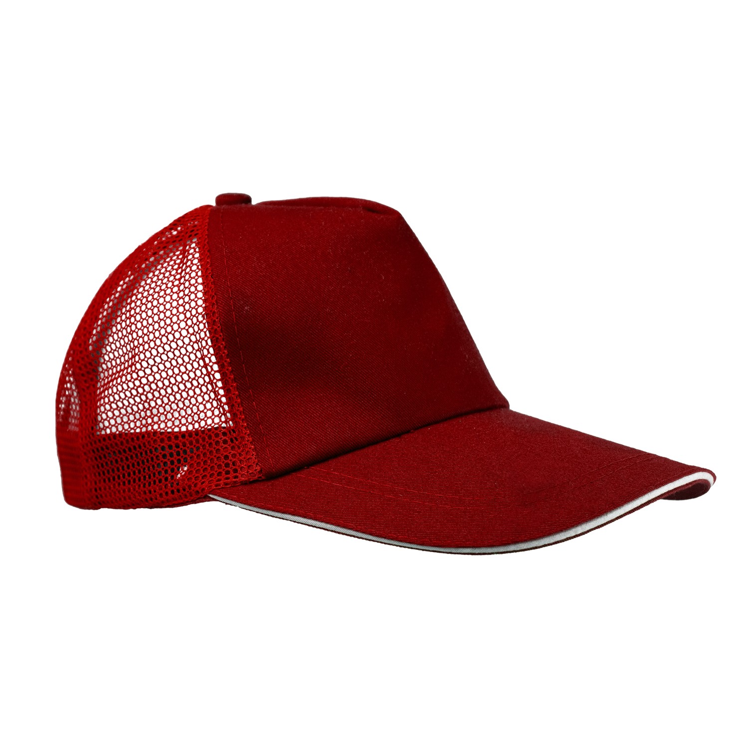 Accent Baseball Hat 1
