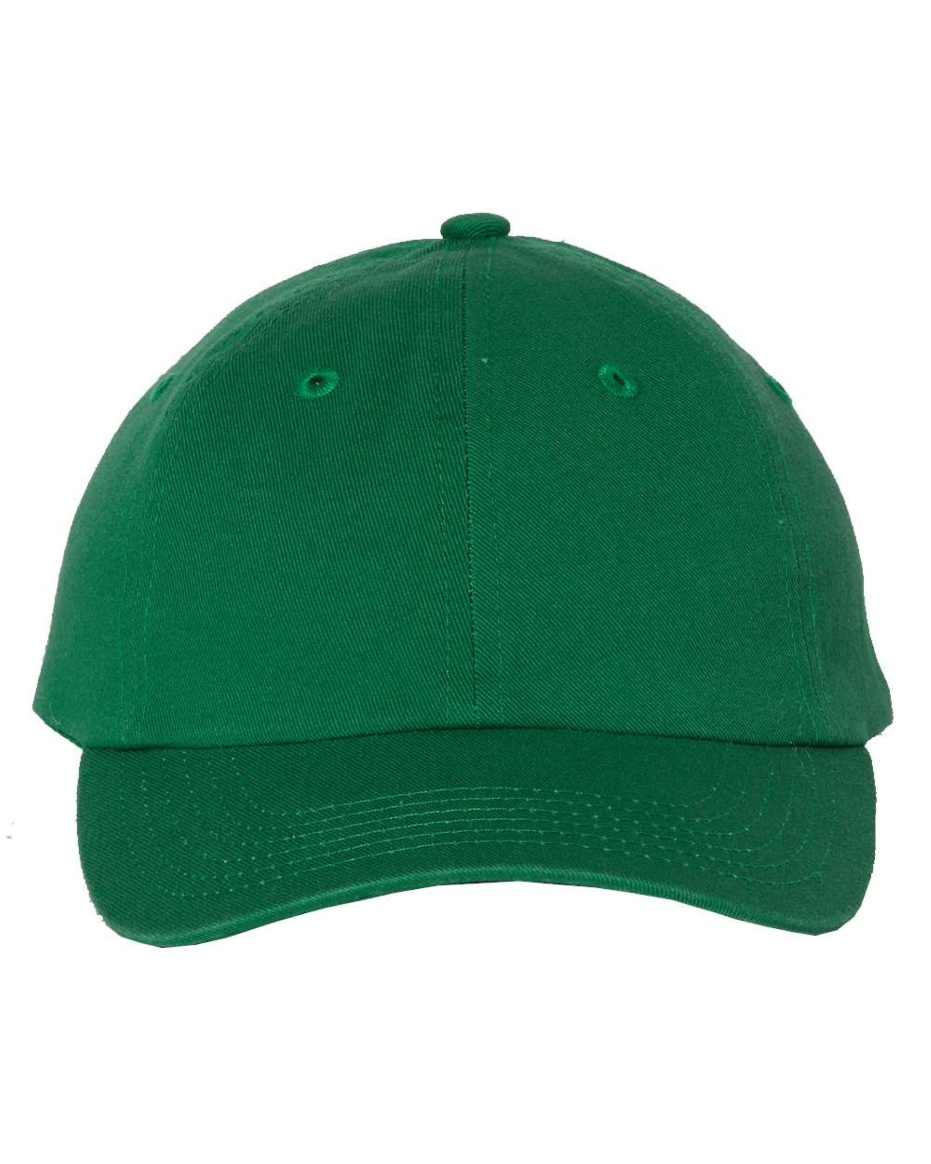 Value Cap SMALL FIT BIO-WASHED DAD'S CAP 1