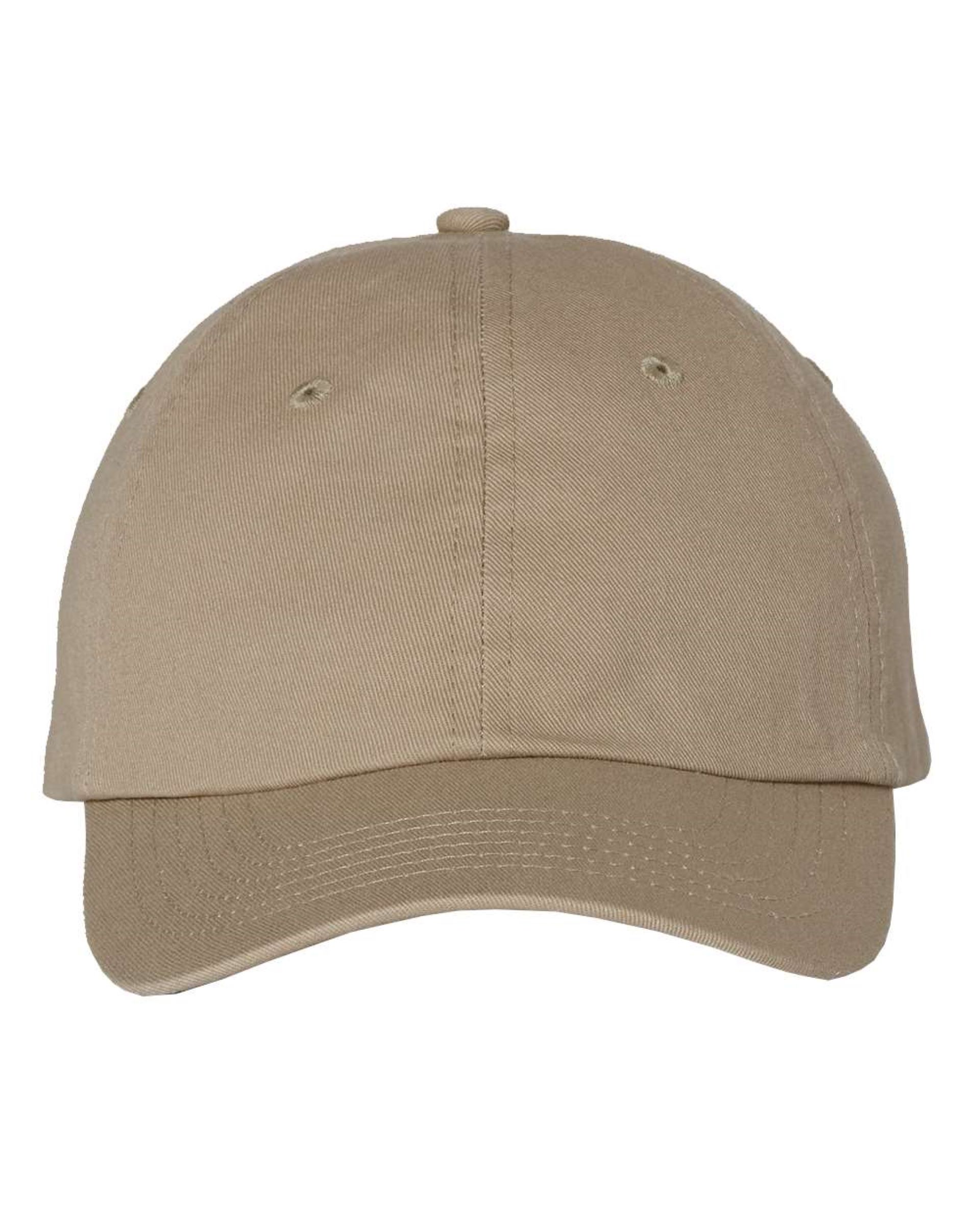 Value Cap SMALL FIT BIO-WASHED DAD'S CAP 1