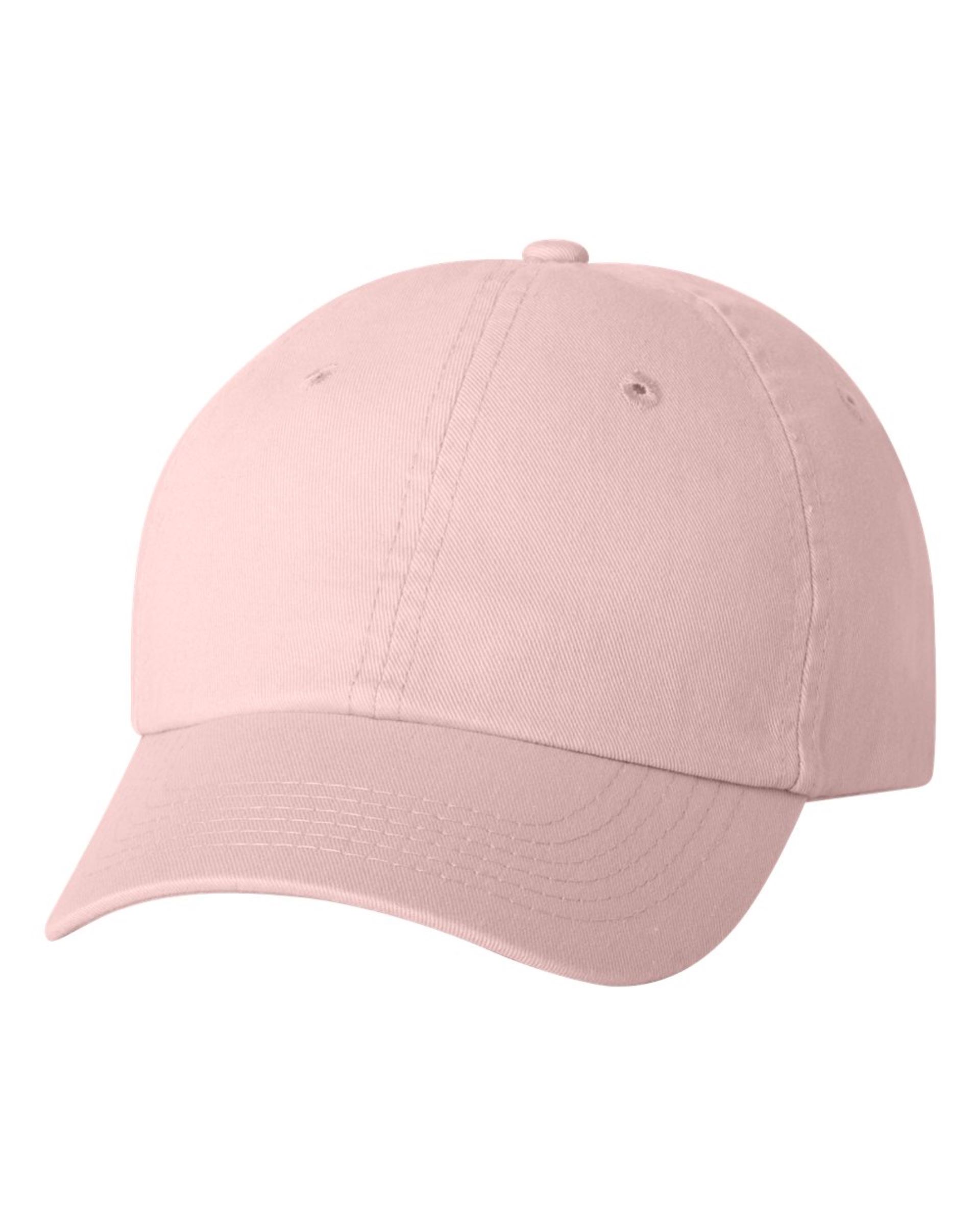 Value Cap SMALL FIT BIO-WASHED DAD'S CAP 1