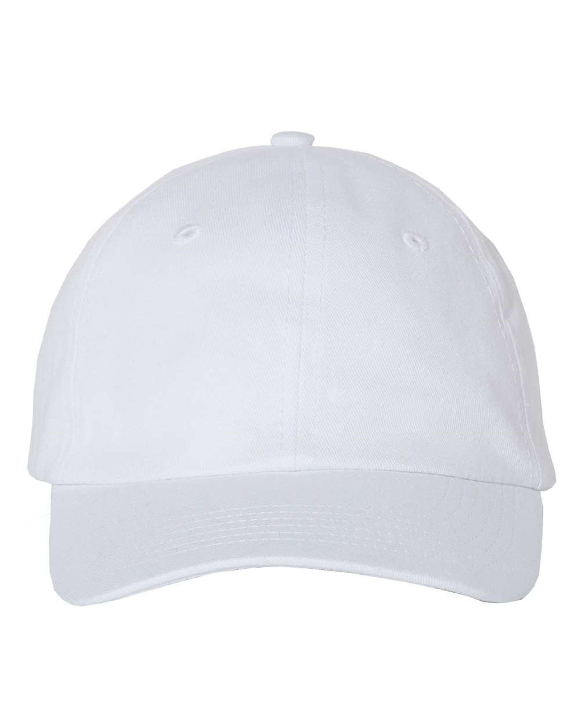 Value Cap SMALL FIT BIO-WASHED DAD'S CAP 1