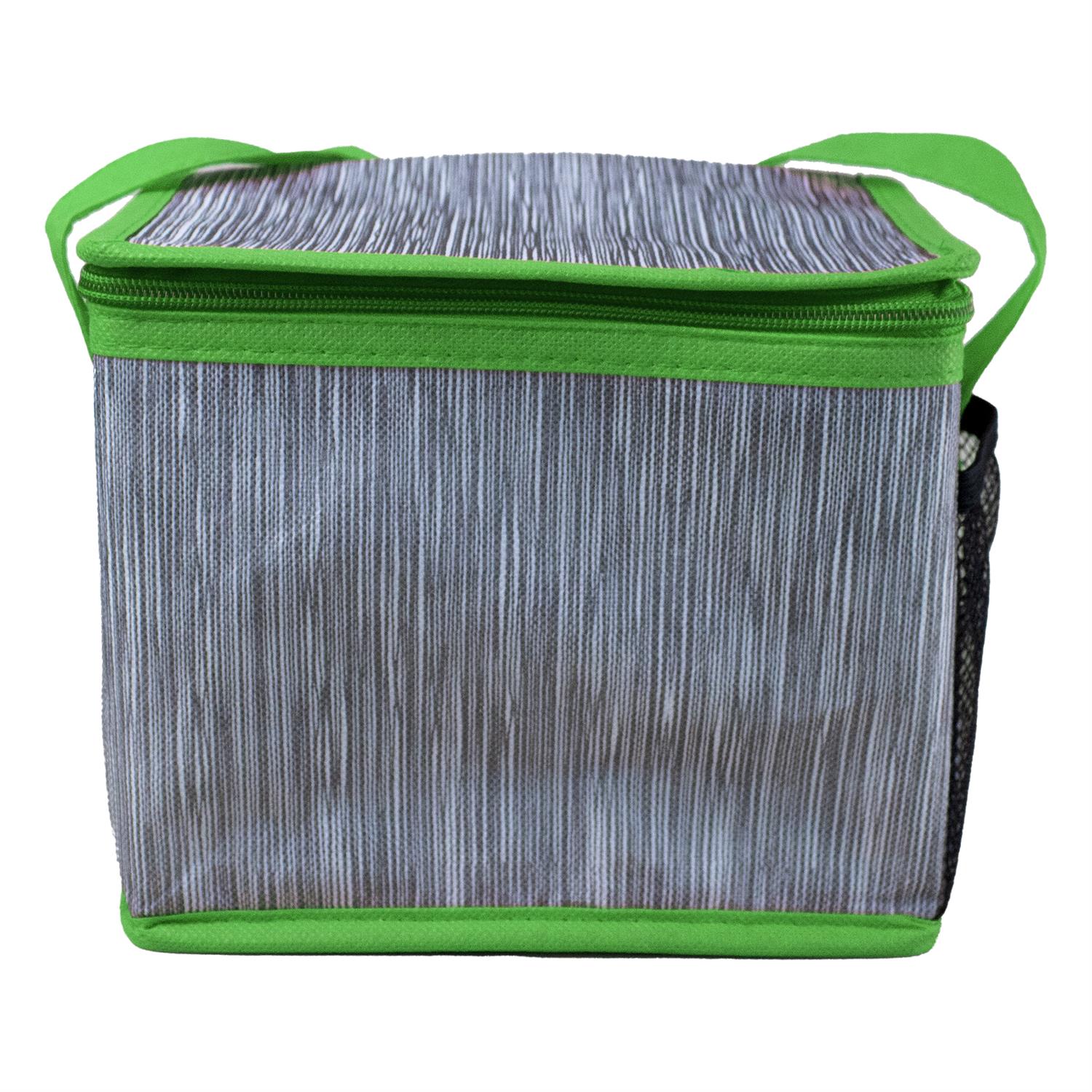 Recycled Lunch Cooler 1