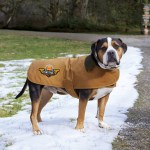 Carhartt® Dog Chore Coat 1 Carhartt® Dog Chore Coat 1