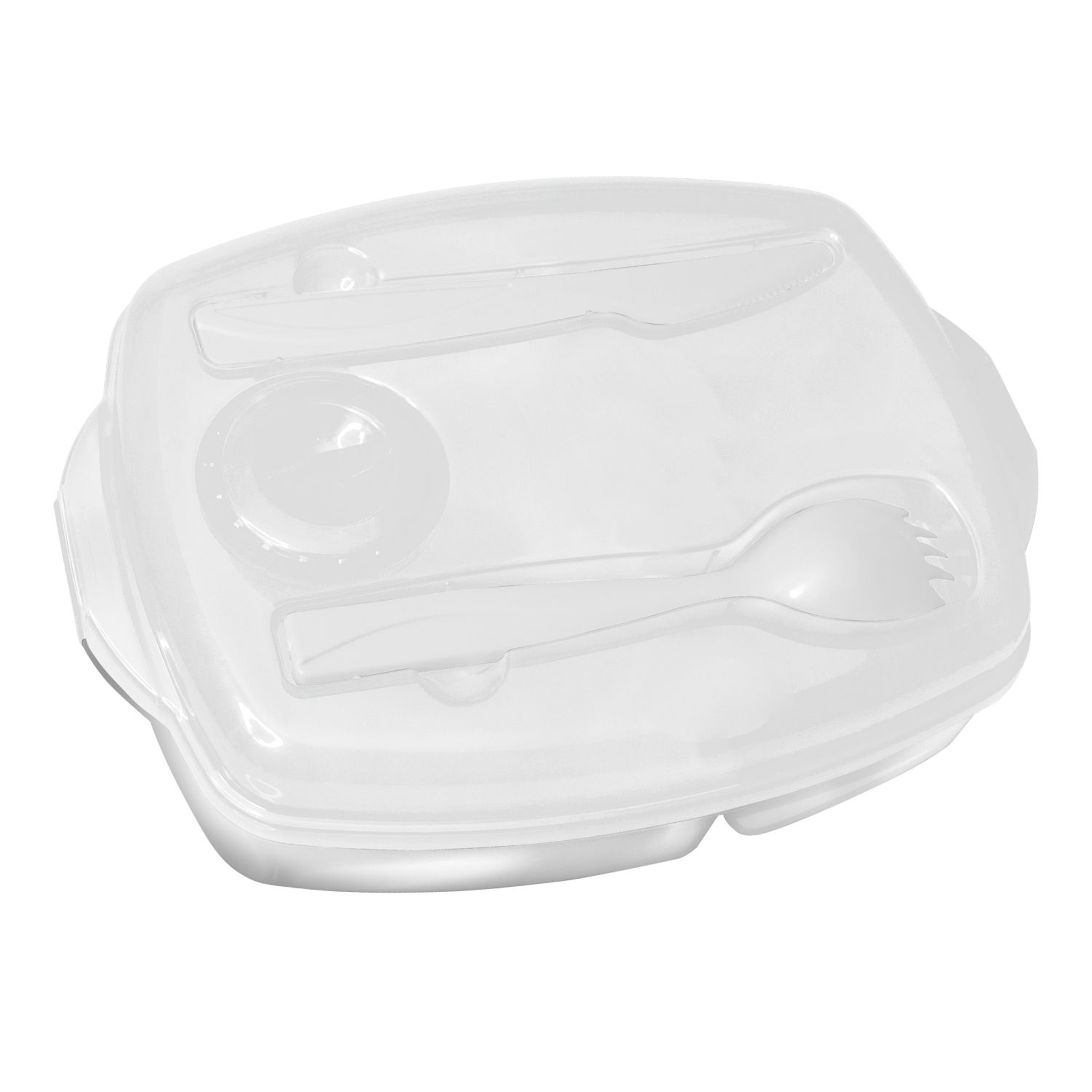 Locking-Lid Lunch Tray 1
