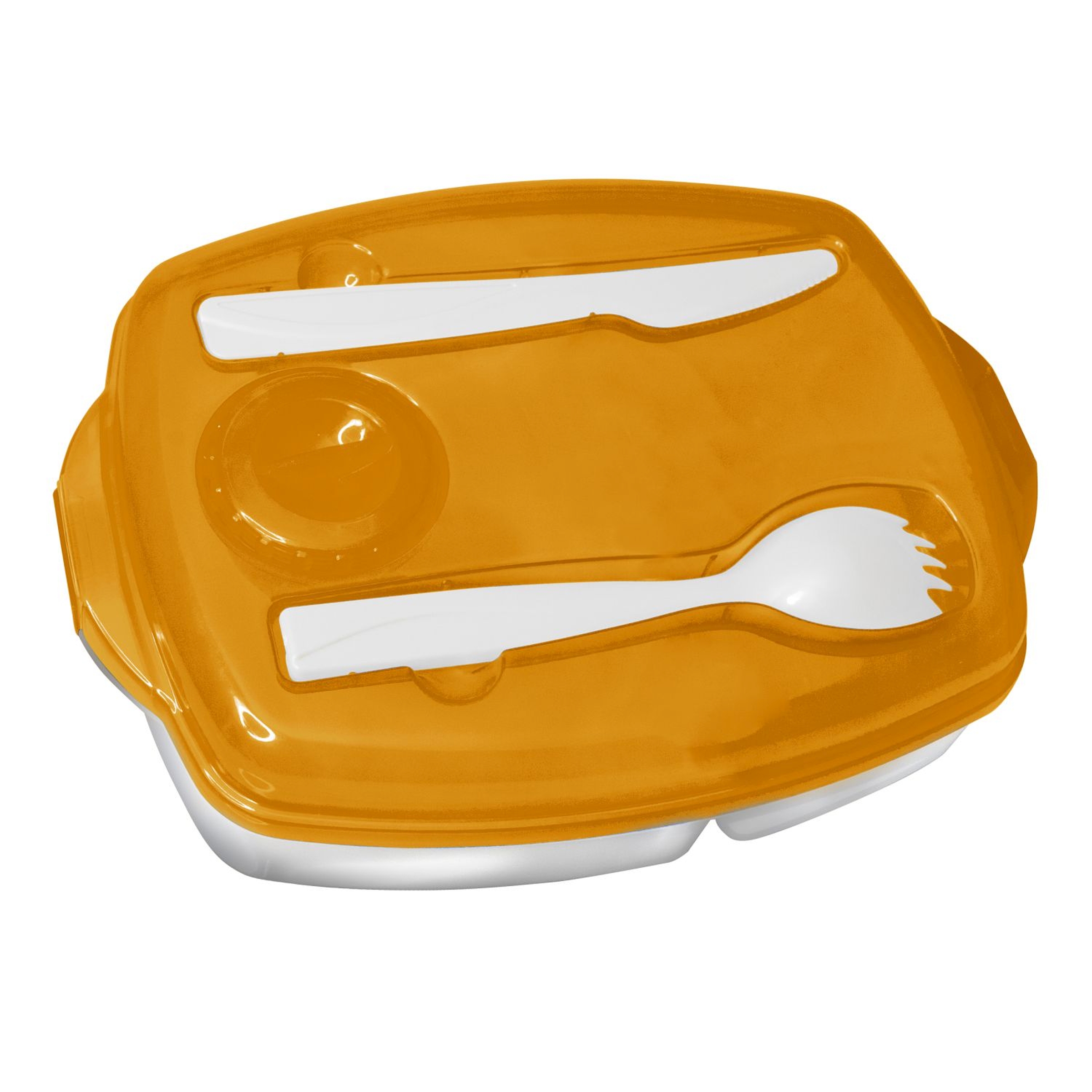 Locking-Lid Lunch Tray 1