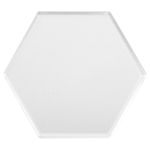 Full Color Acrylic Hexagon Award 2 Full Color Acrylic Hexagon Award 2