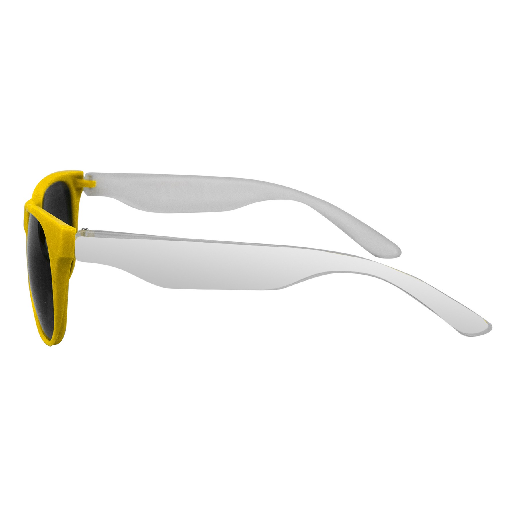 Chic Sunglasses 1