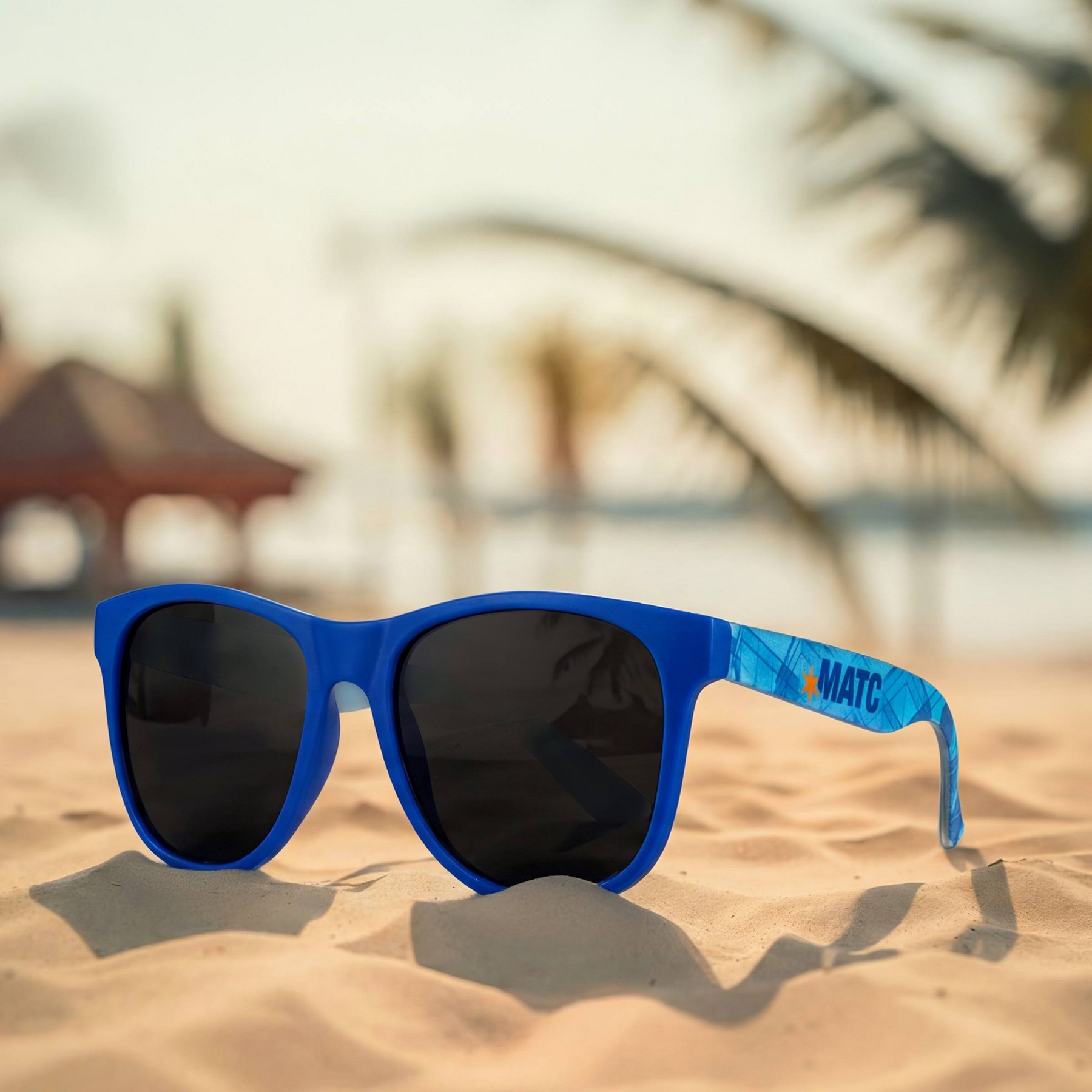 Chic Sunglasses 1