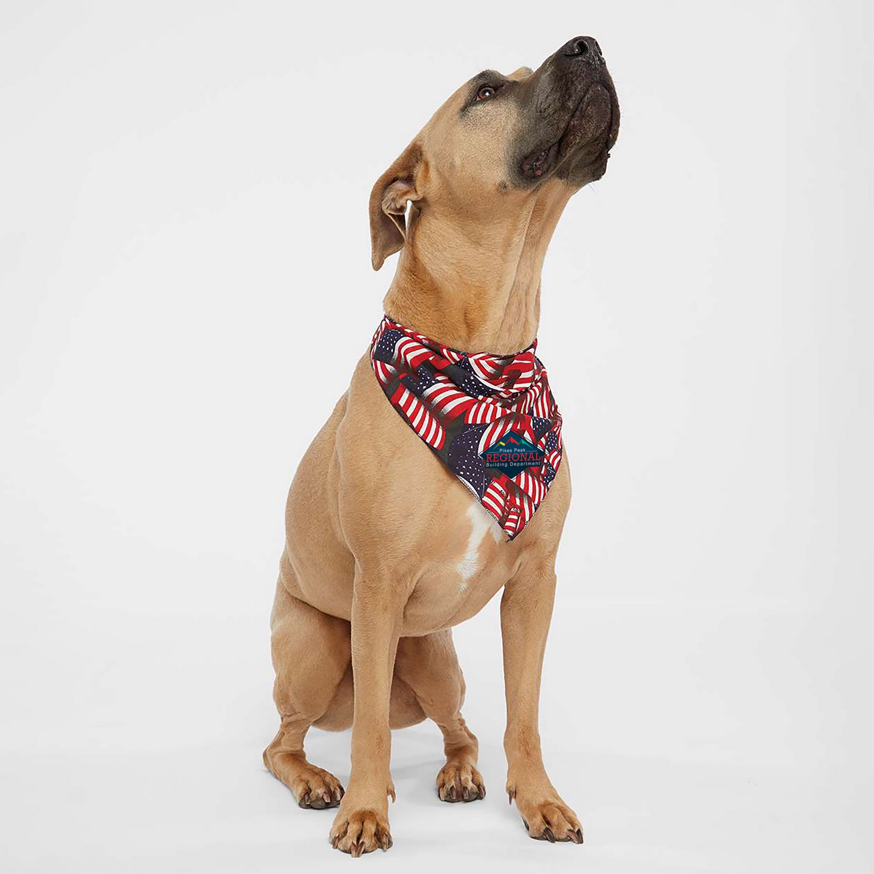 Doggie Skins® USA-Made Doggie Bandana 1