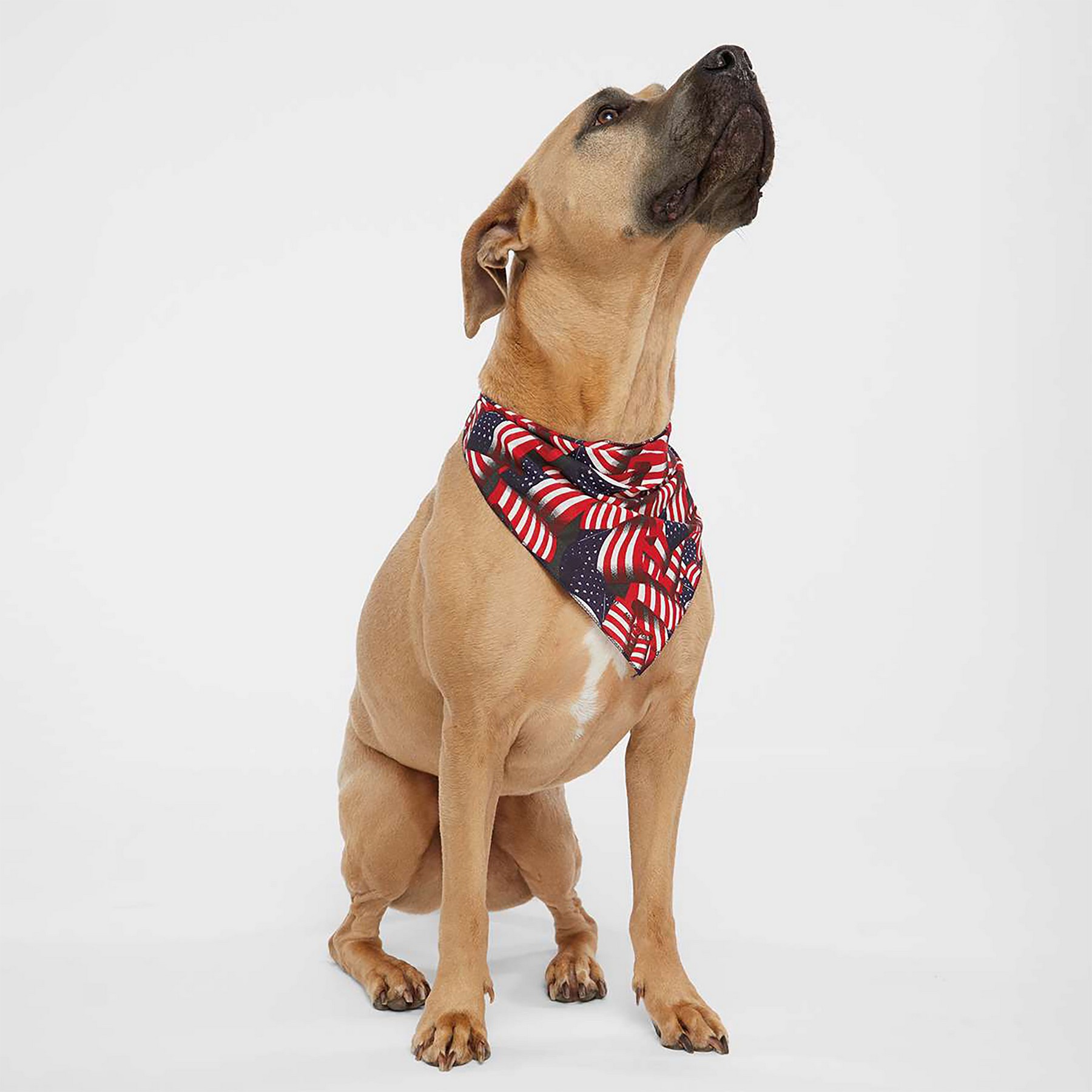 Doggie Skins® USA-Made Doggie Bandana 1
