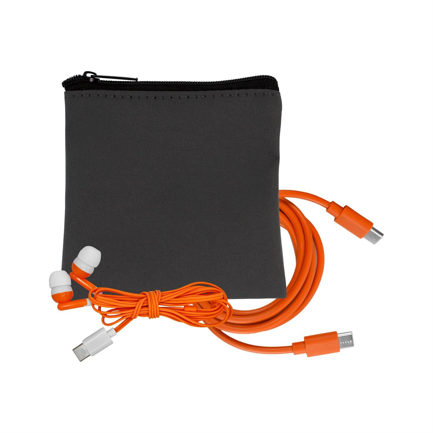 Gray Executive C to C Cable & Ear Bud Set 1