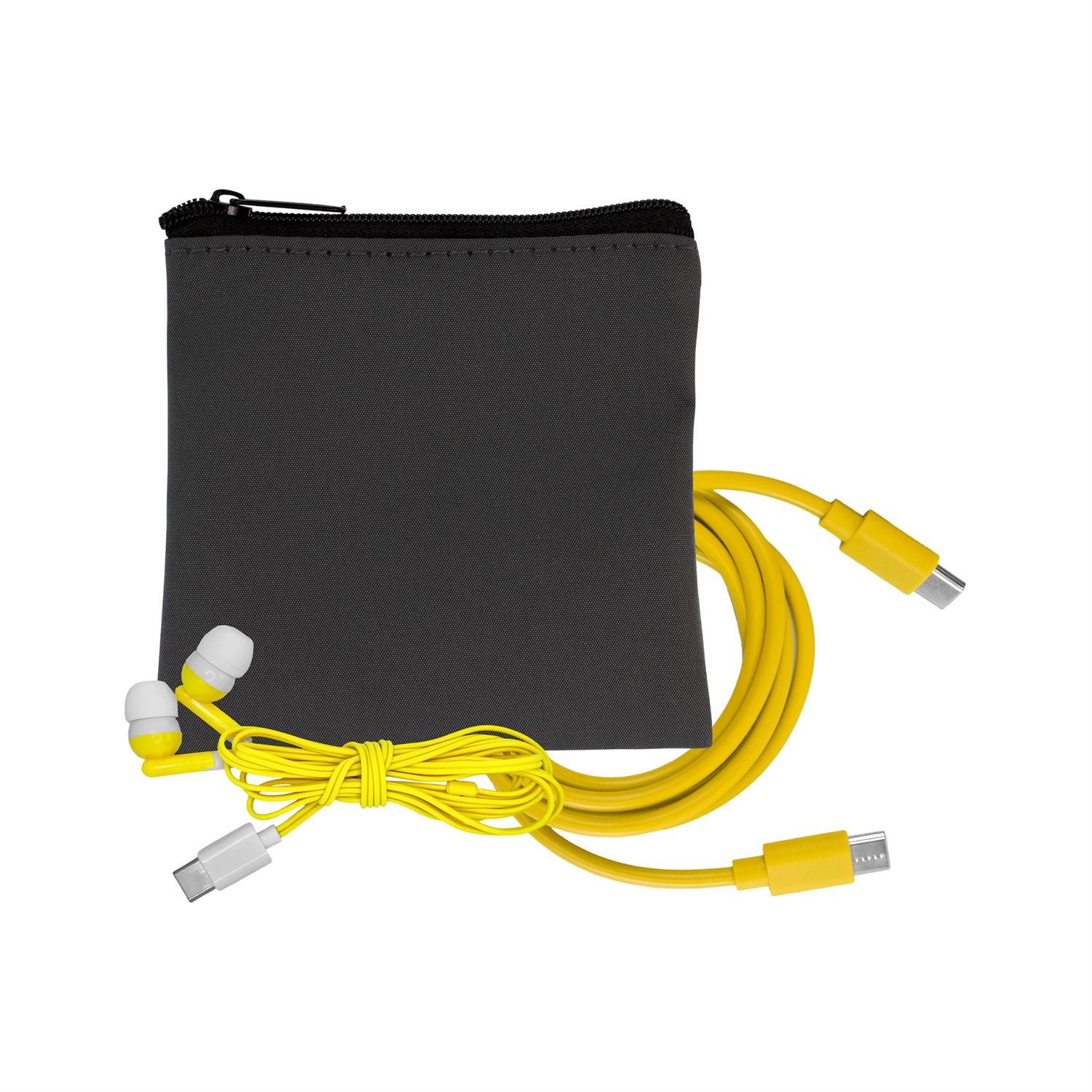 Gray Executive C to C Cable & Ear Bud Set 1