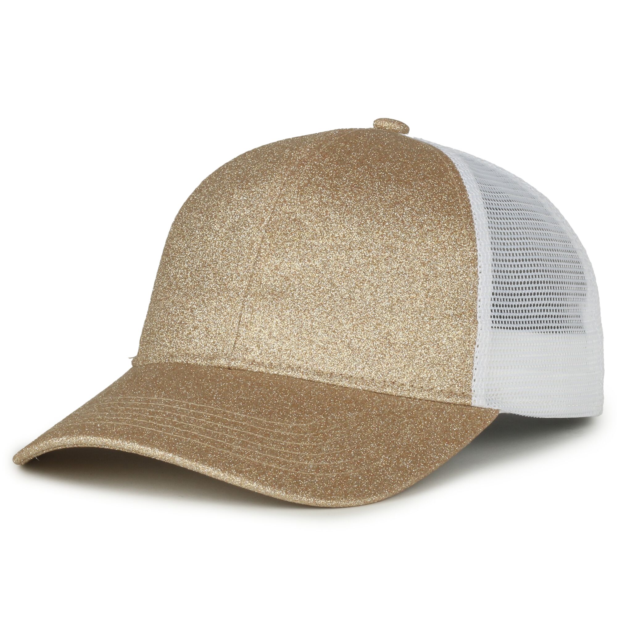 Glitter Mesh Back 1