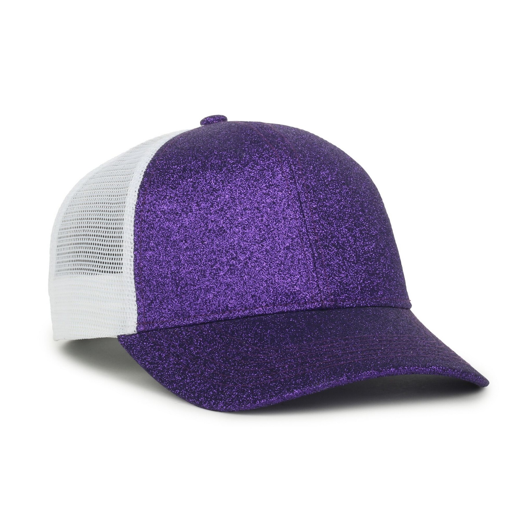 Glitter Mesh Back 1