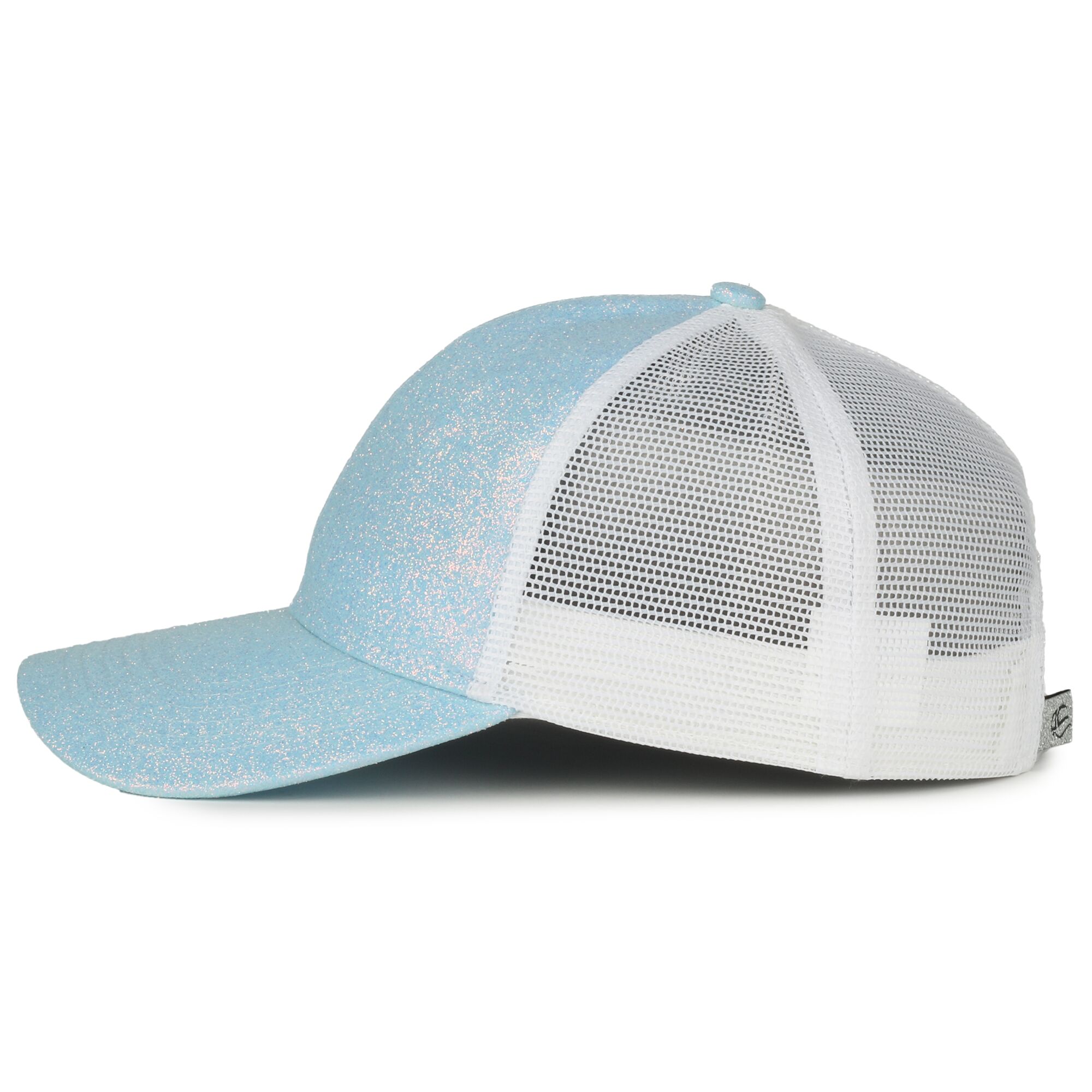Glitter Mesh Back 1
