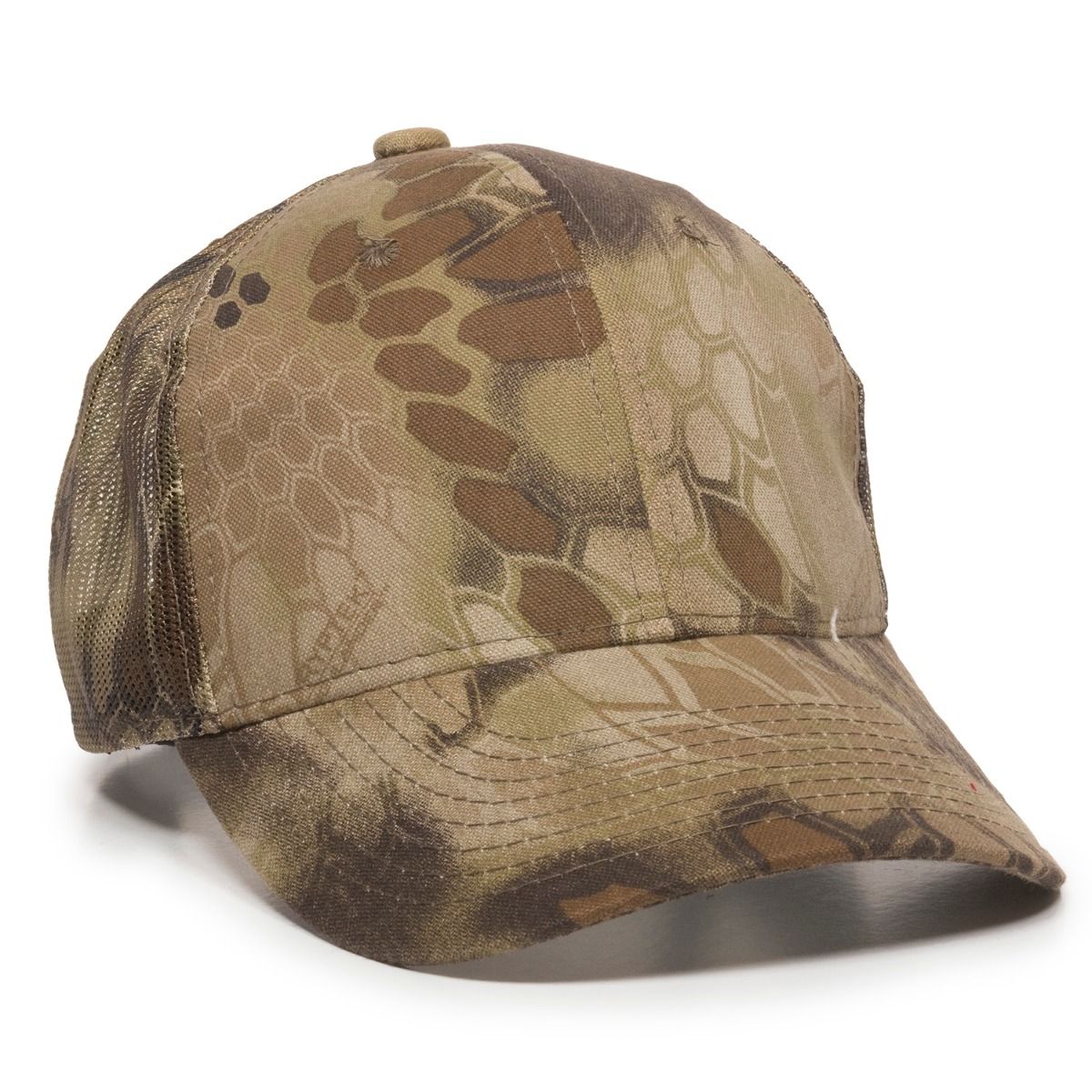 Camo w/Mesh Back Cap 1