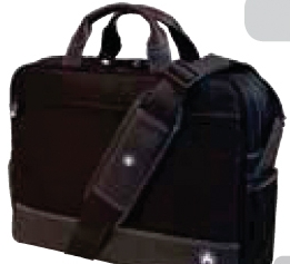Professional Briefcase 1 Professional Briefcase 1