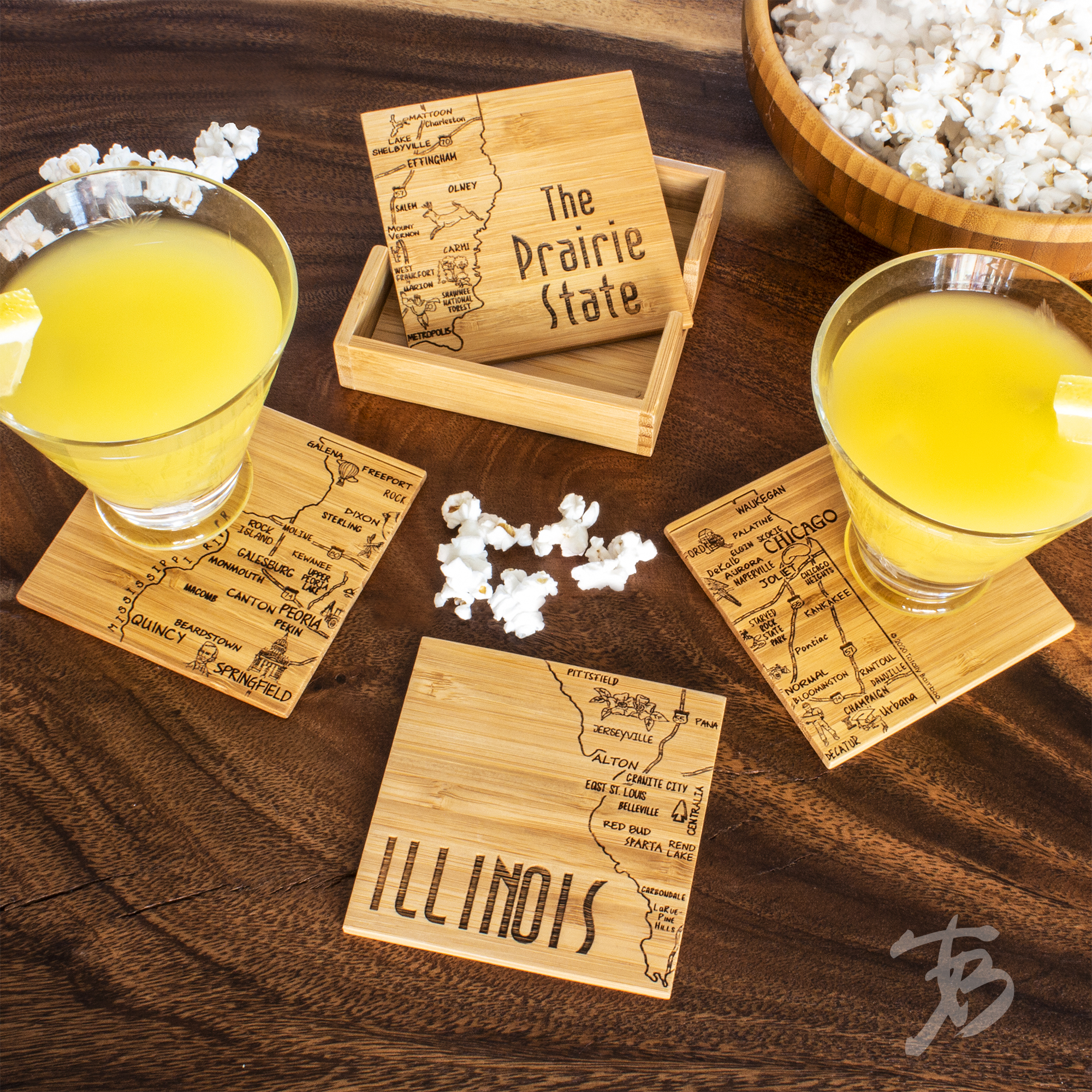 Illinois Puzzle Coaster Set 1
