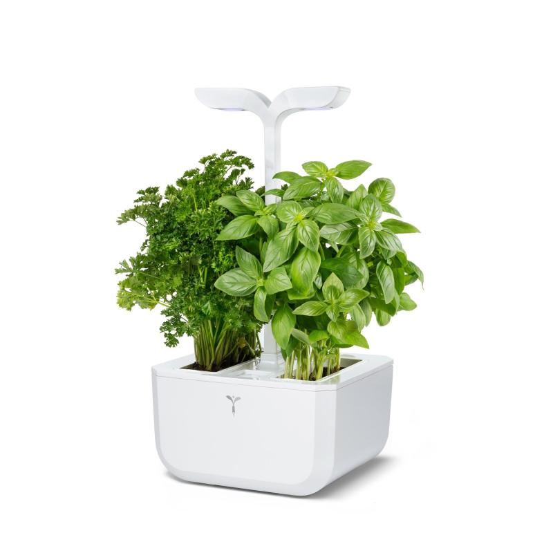 Veritable Exkyclassic Indoor Garden 2 Veritable Exkyclassic Indoor Garden 2